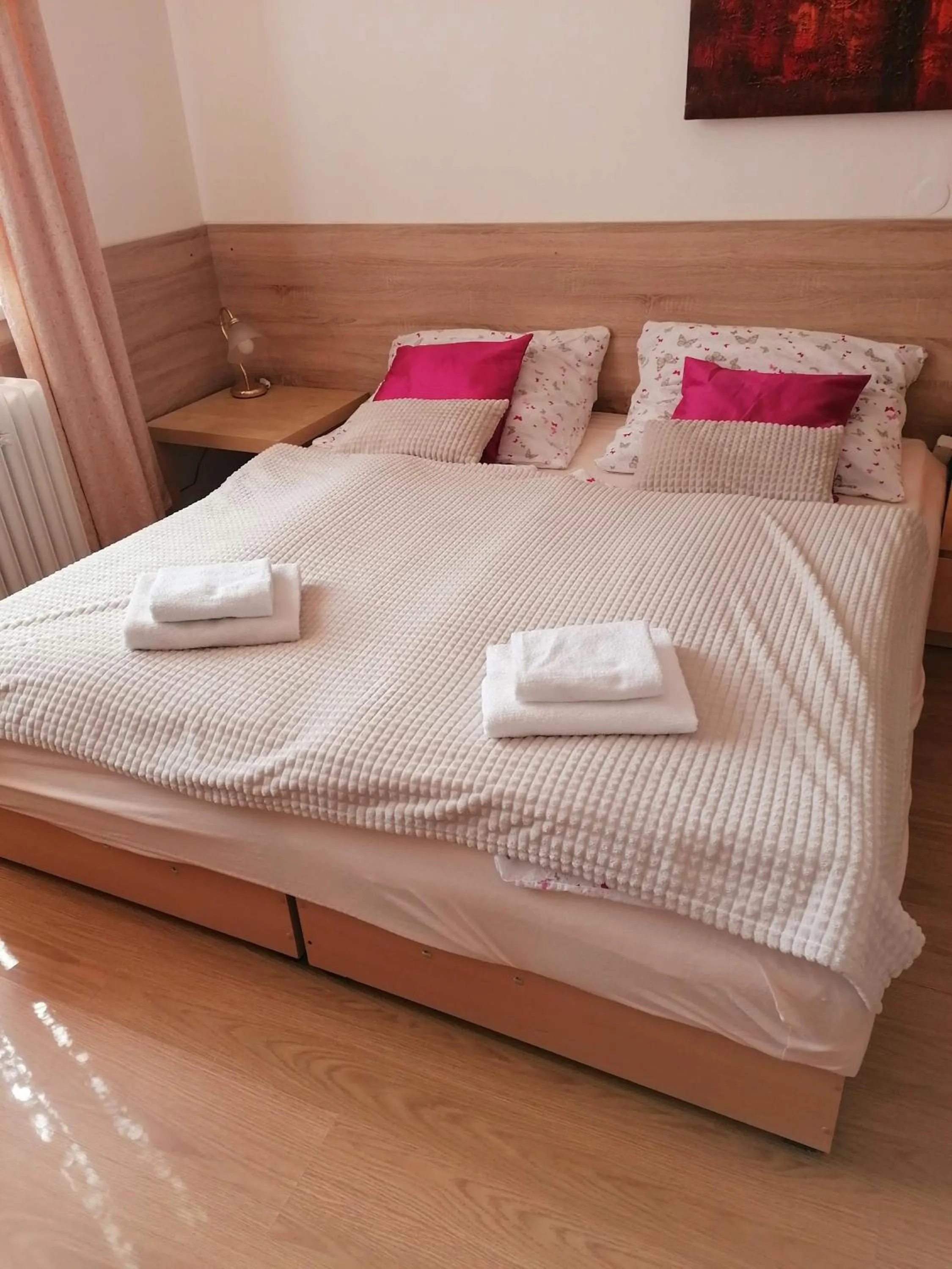 Apartment - single occupancy in Penzion PALMA