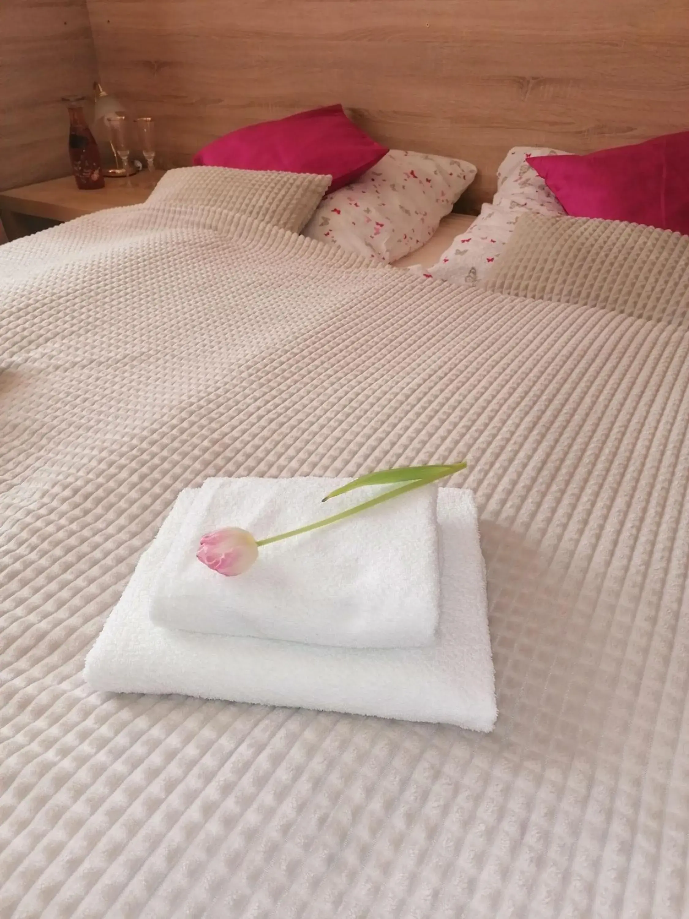 Apartment - single occupancy in Penzion PALMA Apartment - single occupancy in Penzion PALMA