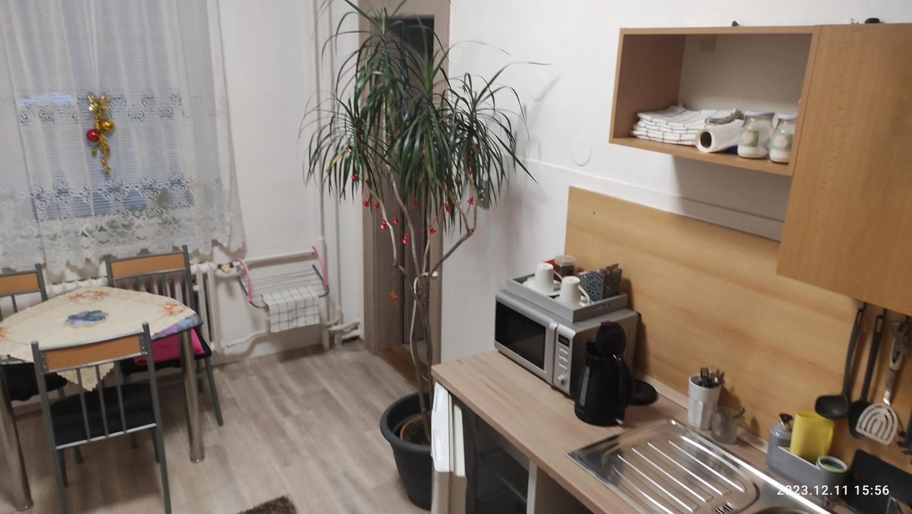 Kitchen or kitchenette in Penzion PALMA