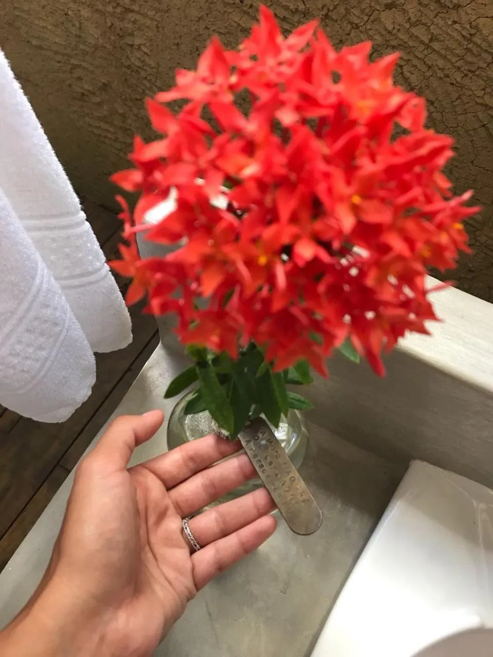 Decorative detail in Pousada Spa Oasis