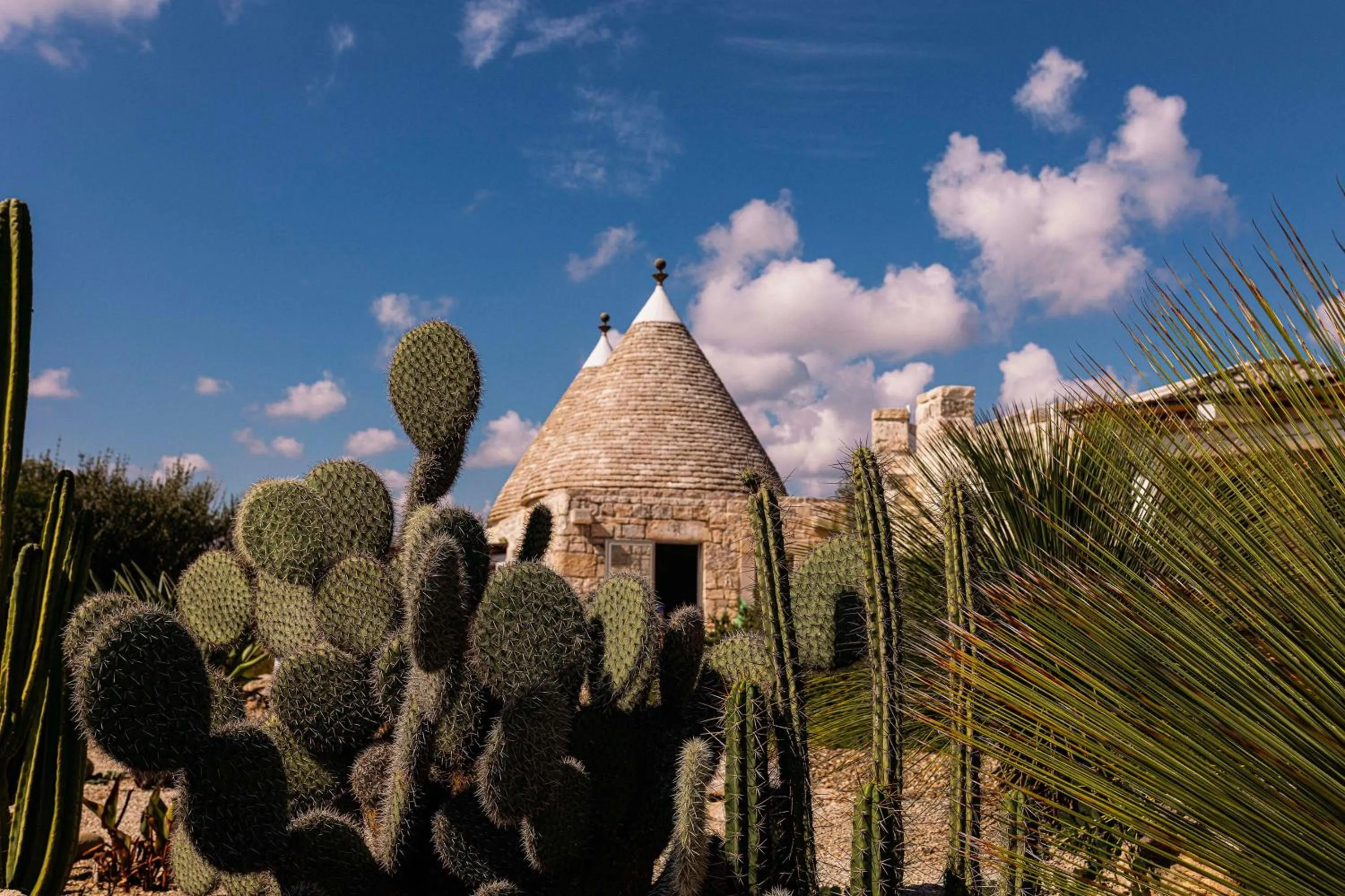 Garden in Regina di Ulivi