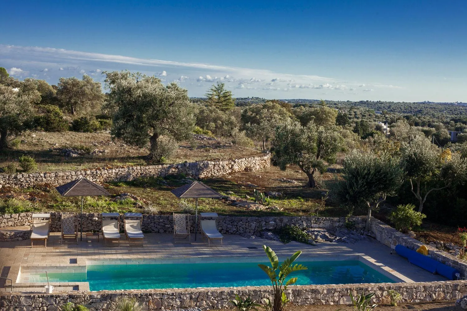 Swimming pool in Regina di Ulivi