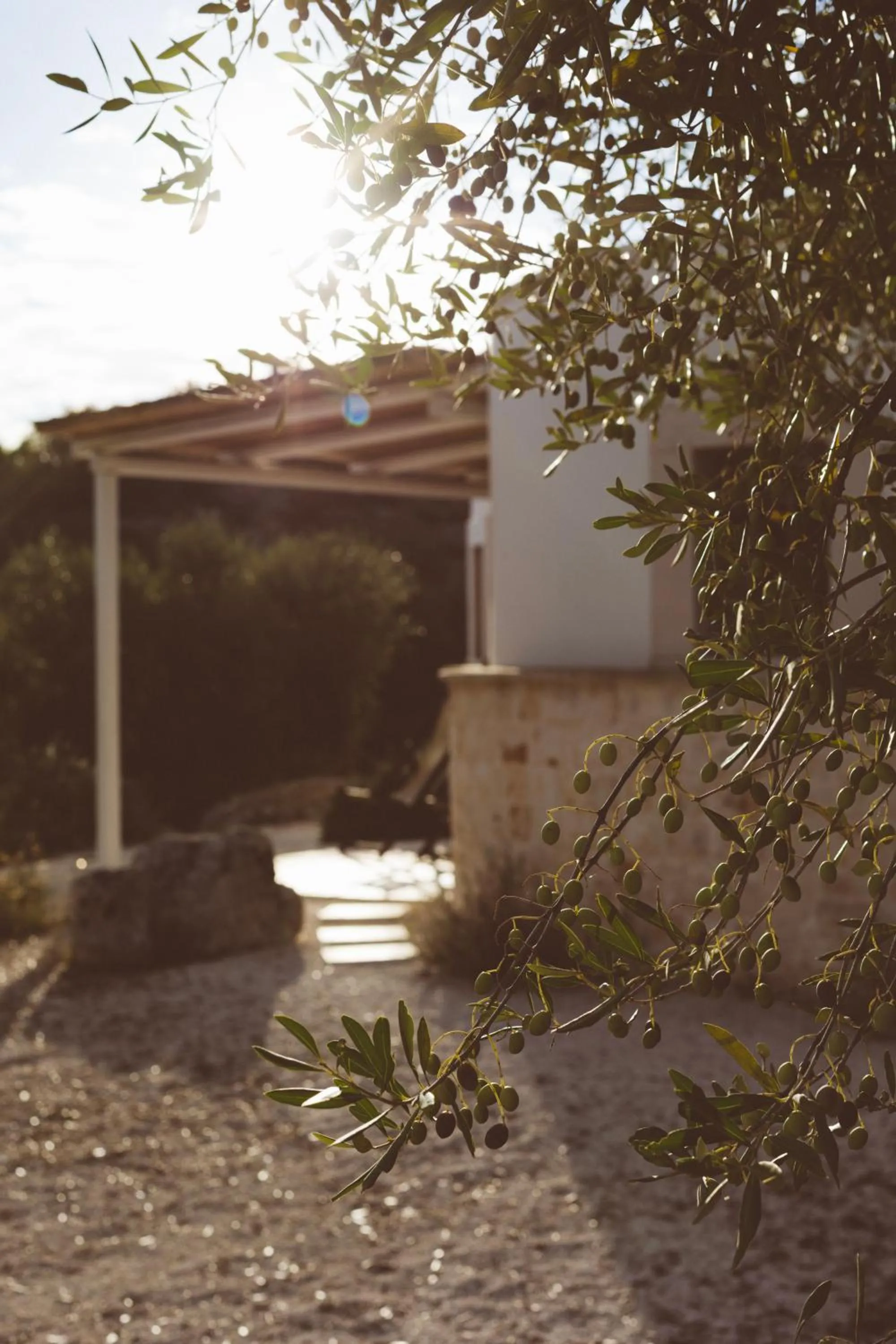 Patio in Regina di Ulivi