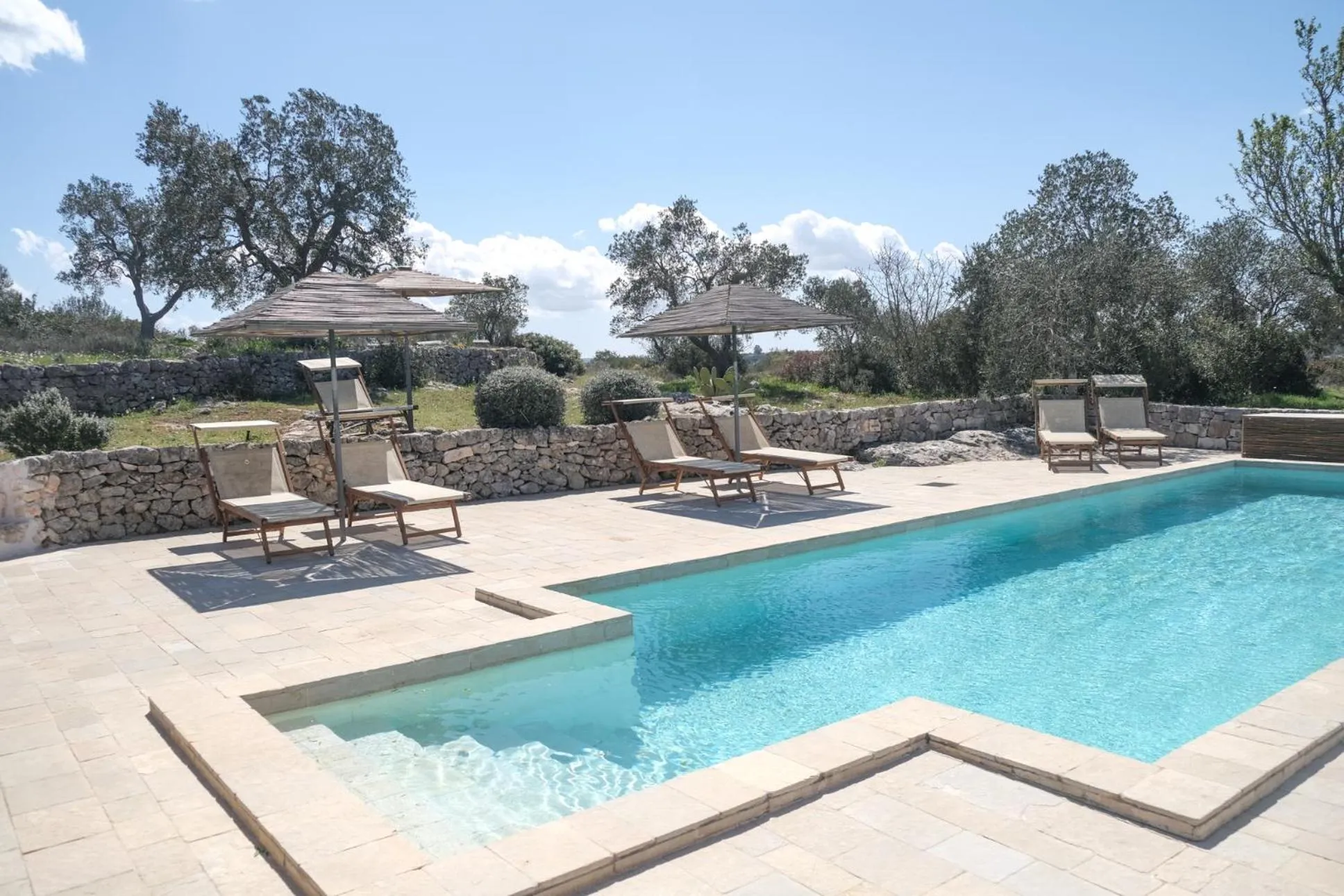 Swimming pool in Regina di Ulivi
