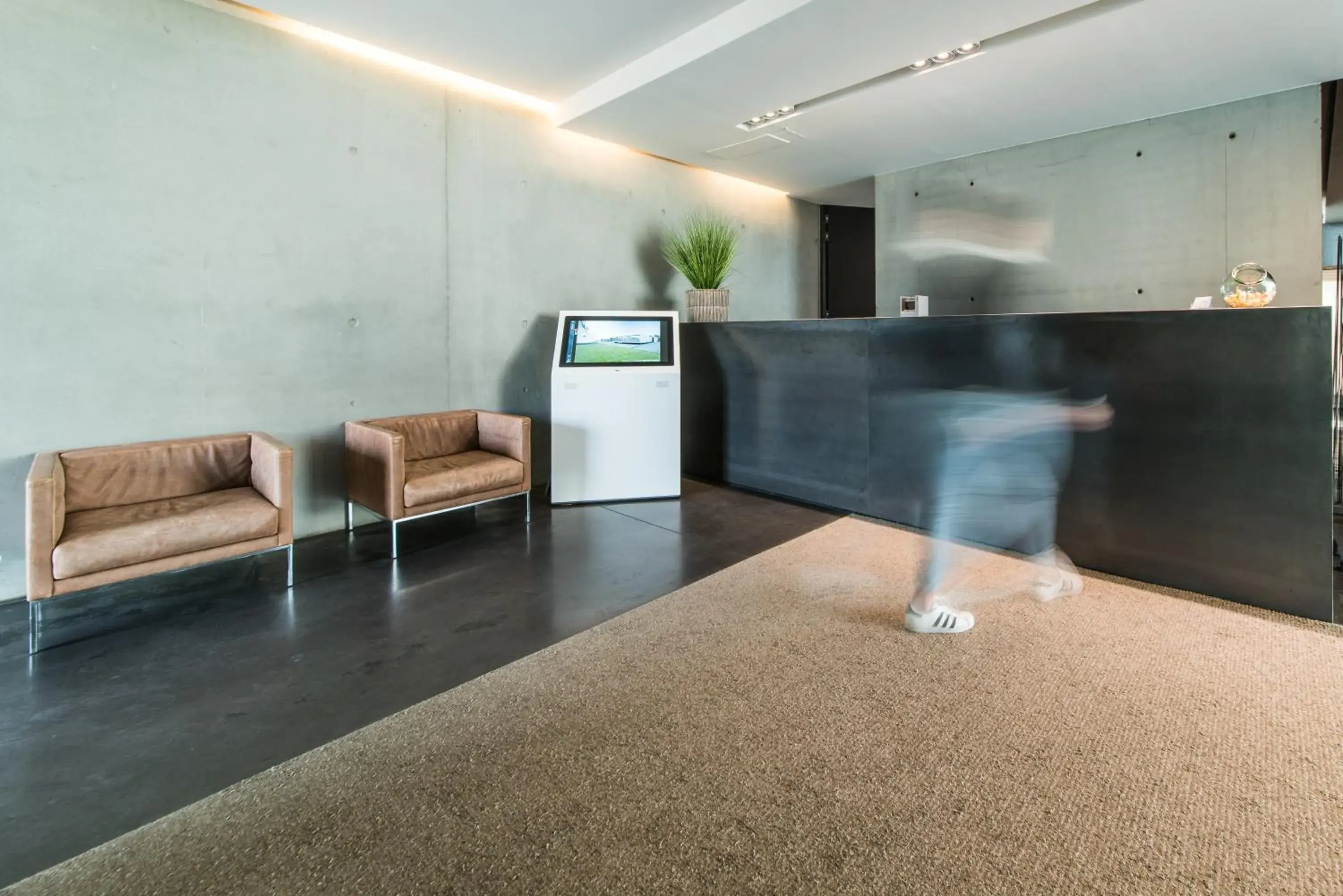 Lobby or reception in D-Hotel Lobby or reception in D-Hotel