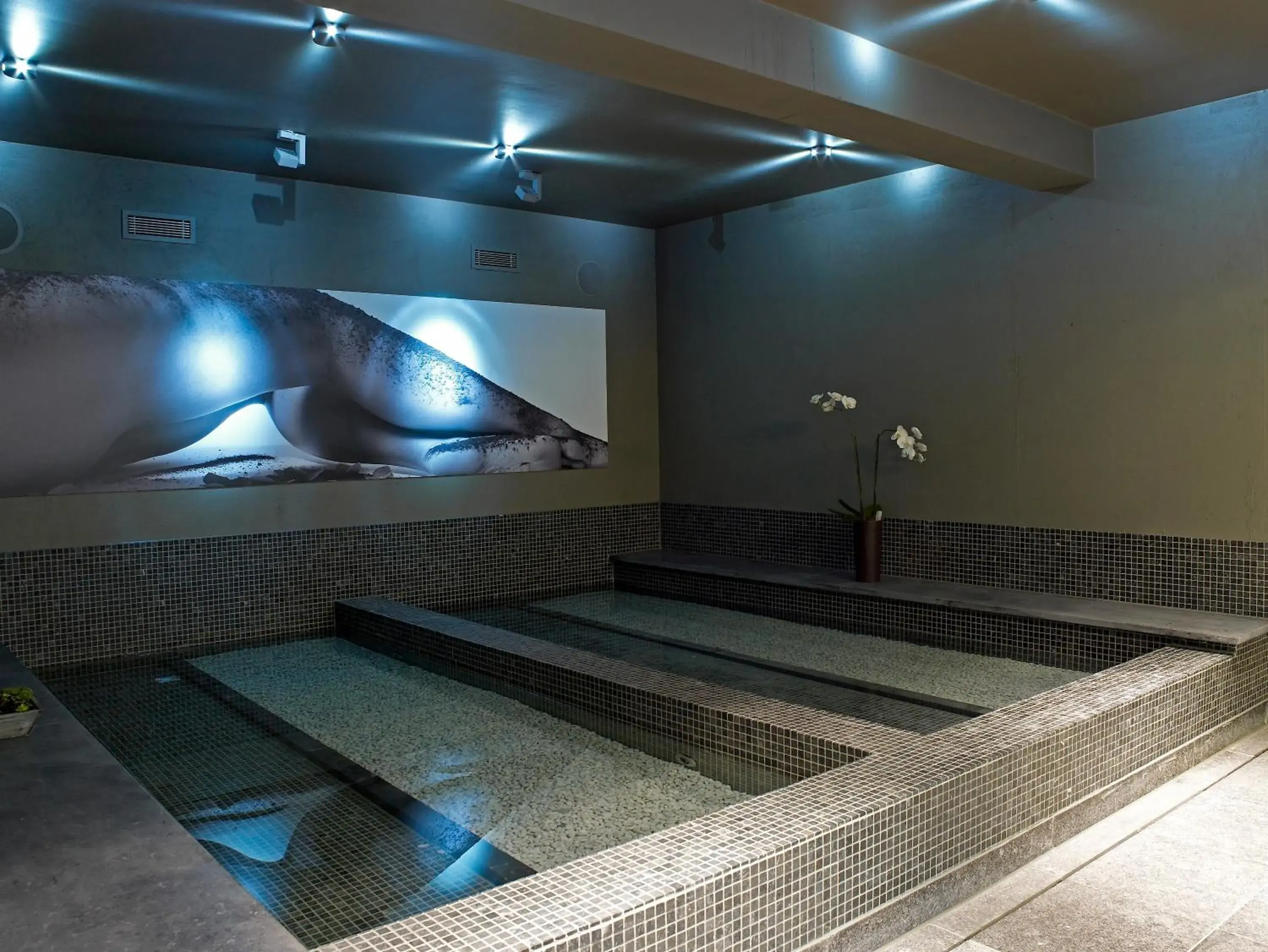 Spa and wellness centre/facilities in D-Hotel Spa and wellness centre/facilities in D-Hotel