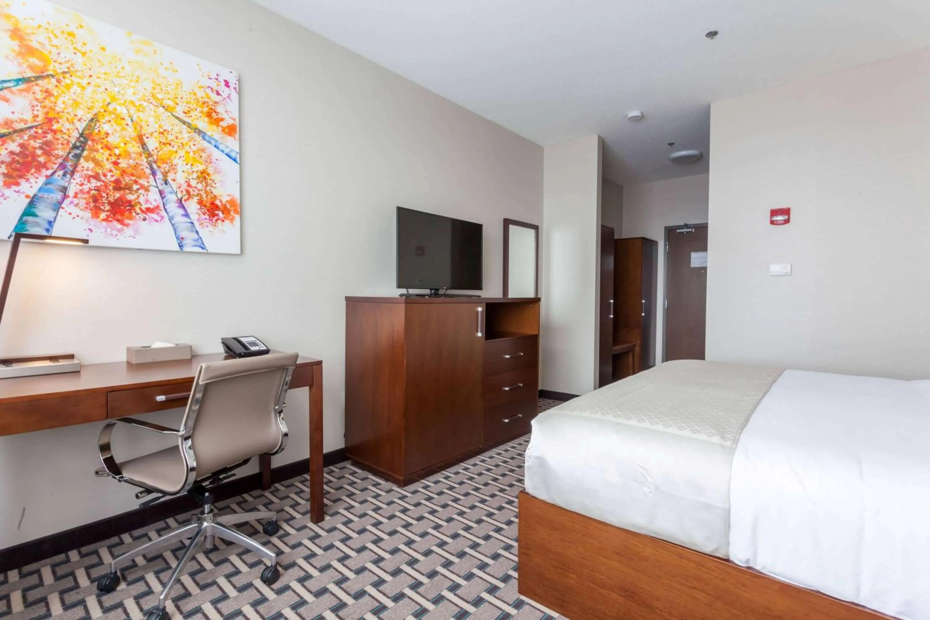 Photo of the whole room, Bed in Wyndham Garden Edmonton Airport