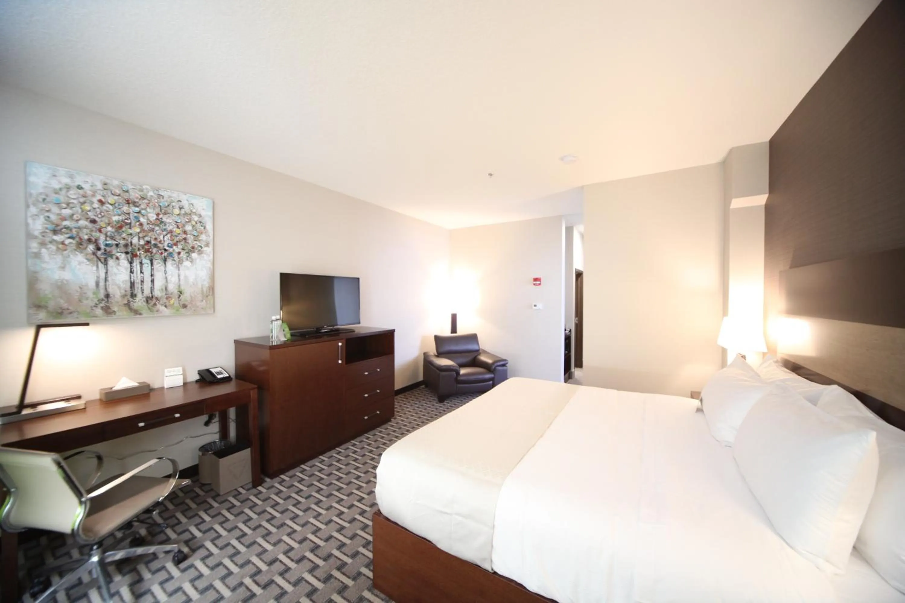TV and multimedia, Bed in Wyndham Garden Edmonton Airport