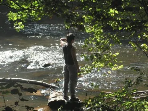 Garden in B&B-Restaurant Porte de la Lienne