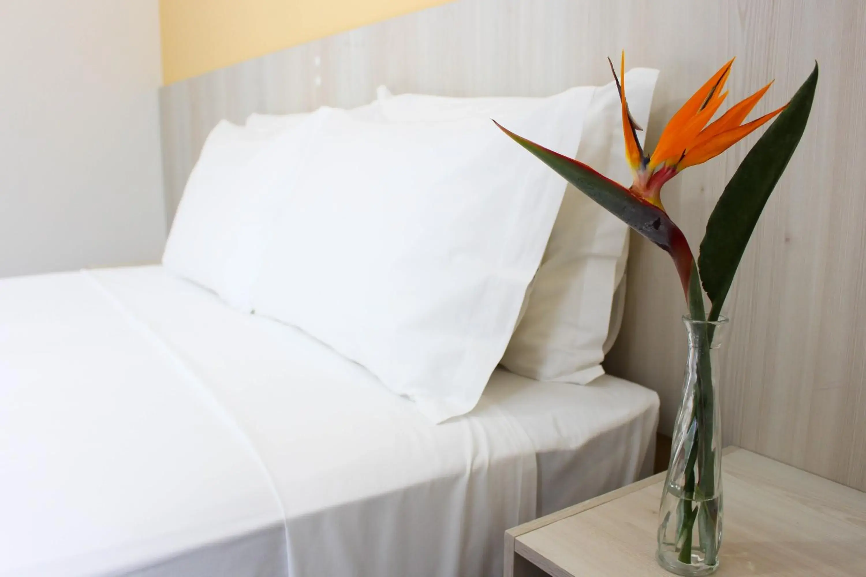 Double Room in CEIC Pousada e Eventos Double Room in CEIC Pousada e Eventos