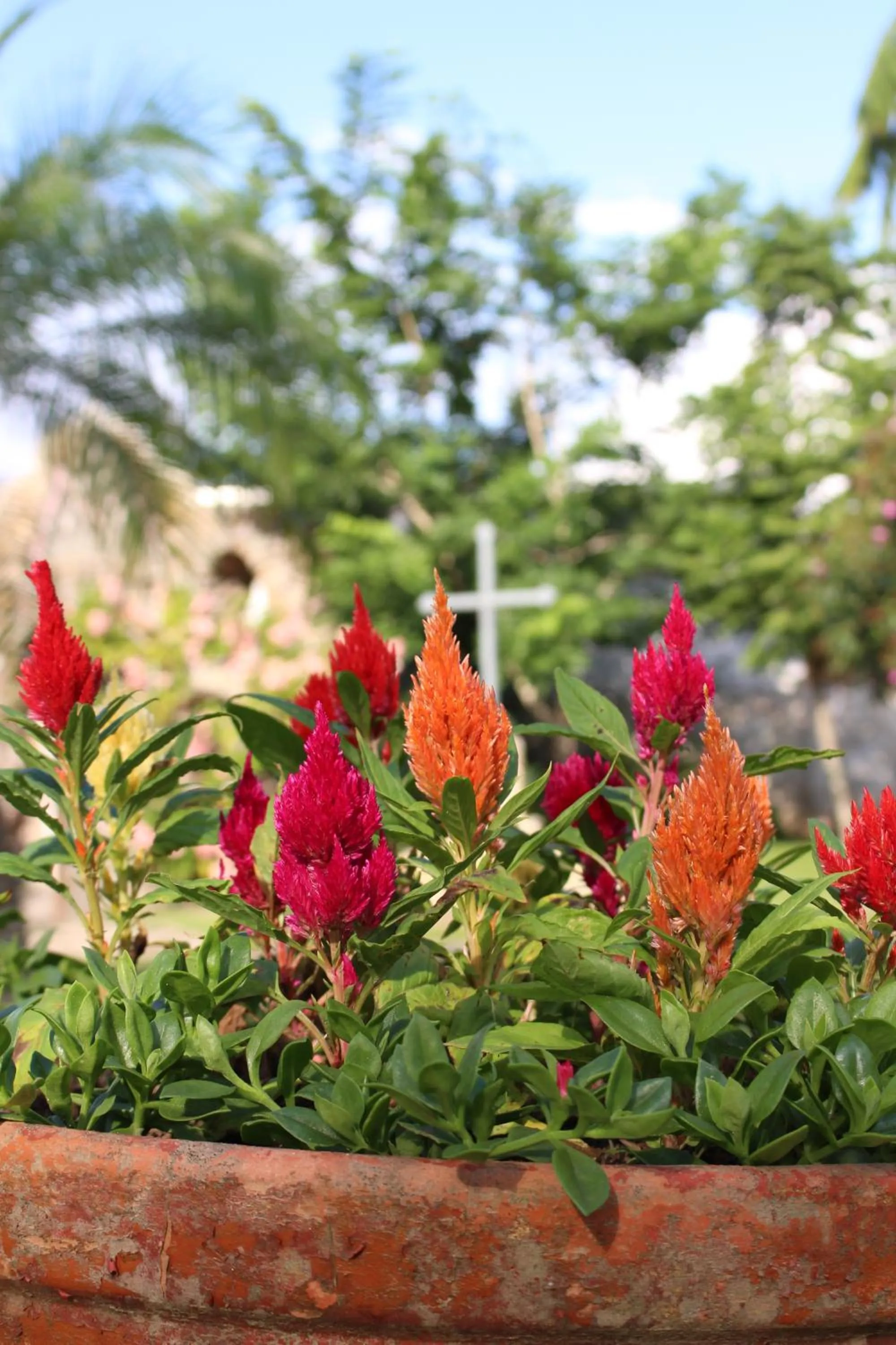 Garden in CEIC Pousada e Eventos