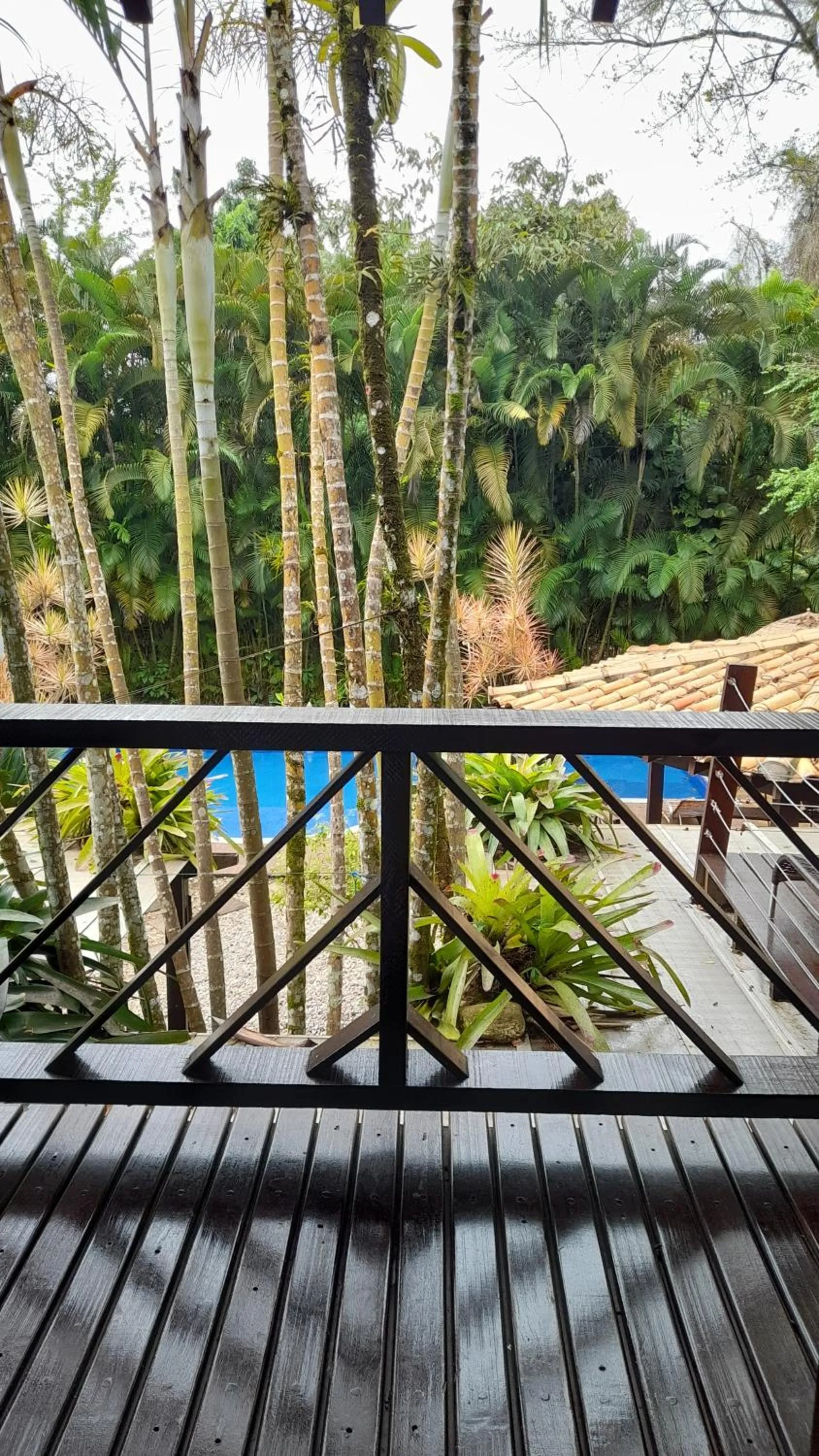 Balcony/Terrace in House da Lui