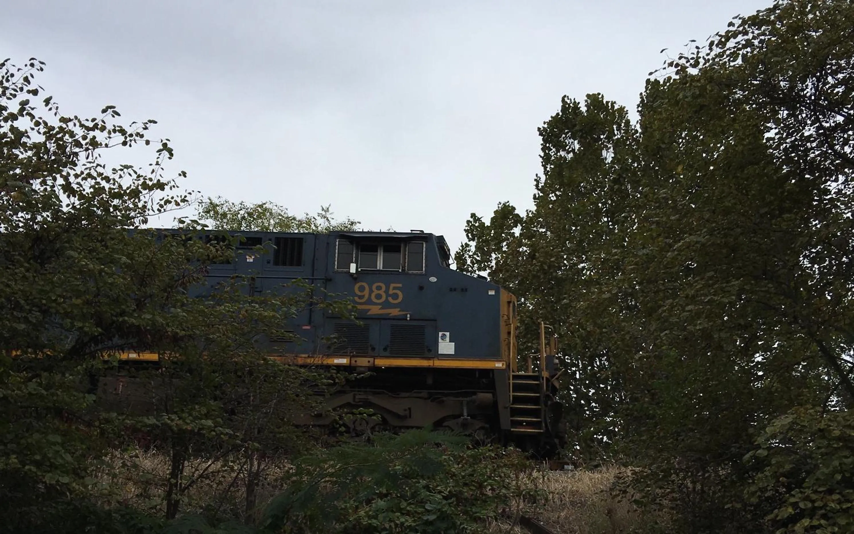 Neighbourhood in L&N Bed and Breakfast Ltd