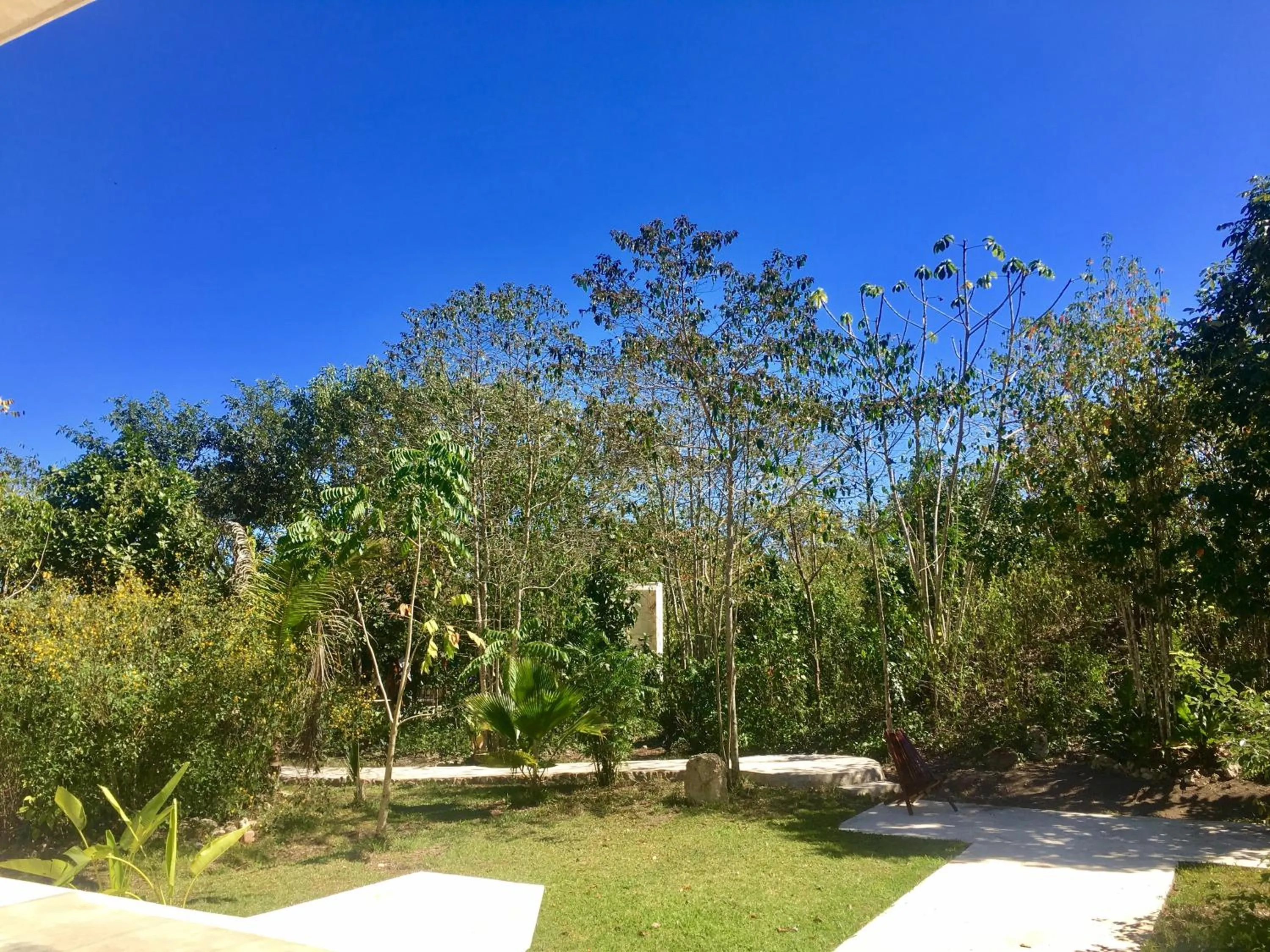 Garden in Hotel Casa Maya Calakmul