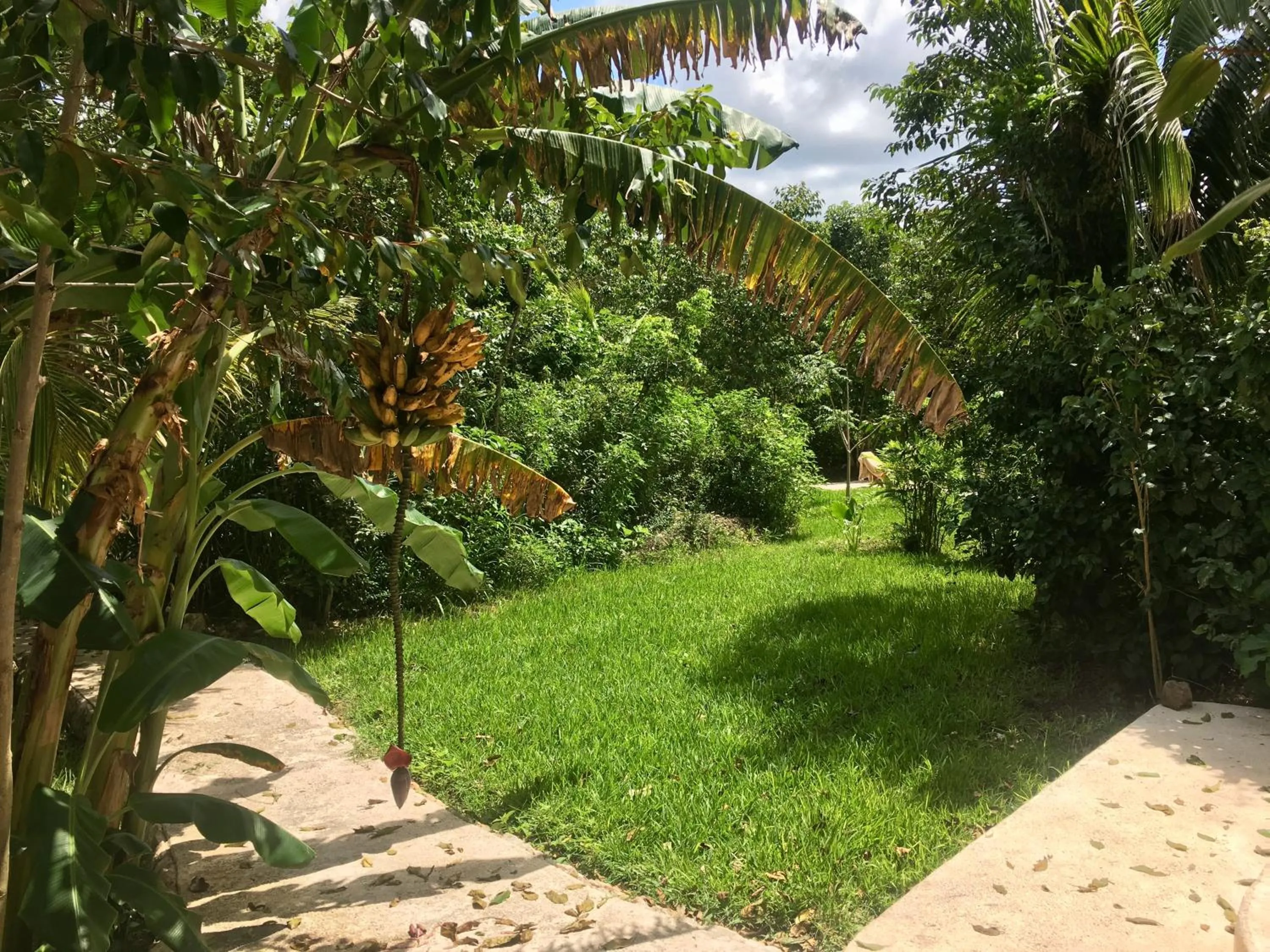 Garden in Hotel Casa Maya Calakmul