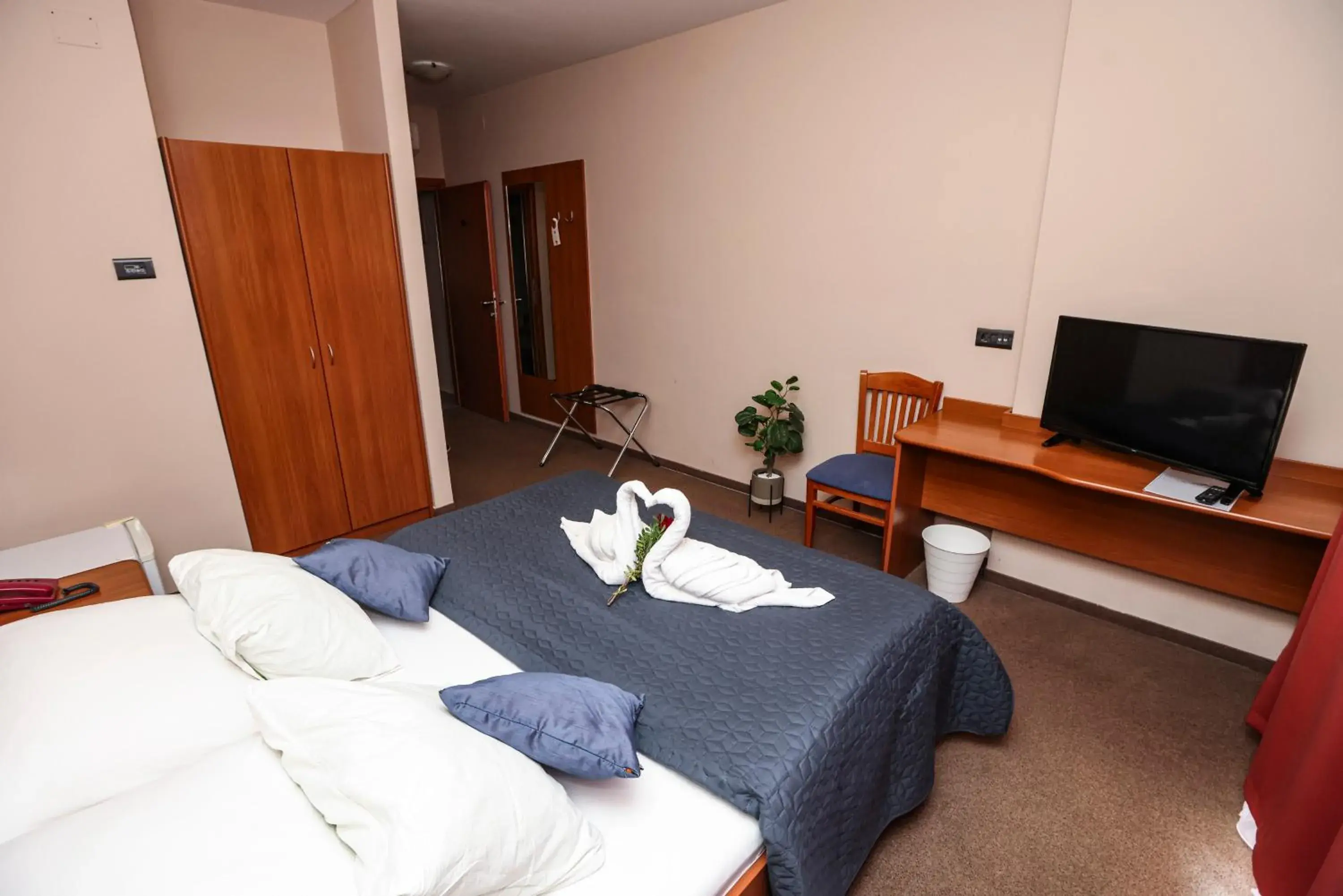 Double Room - single occupancy in Hotel Zagi Double Room - single occupancy in Hotel Zagi