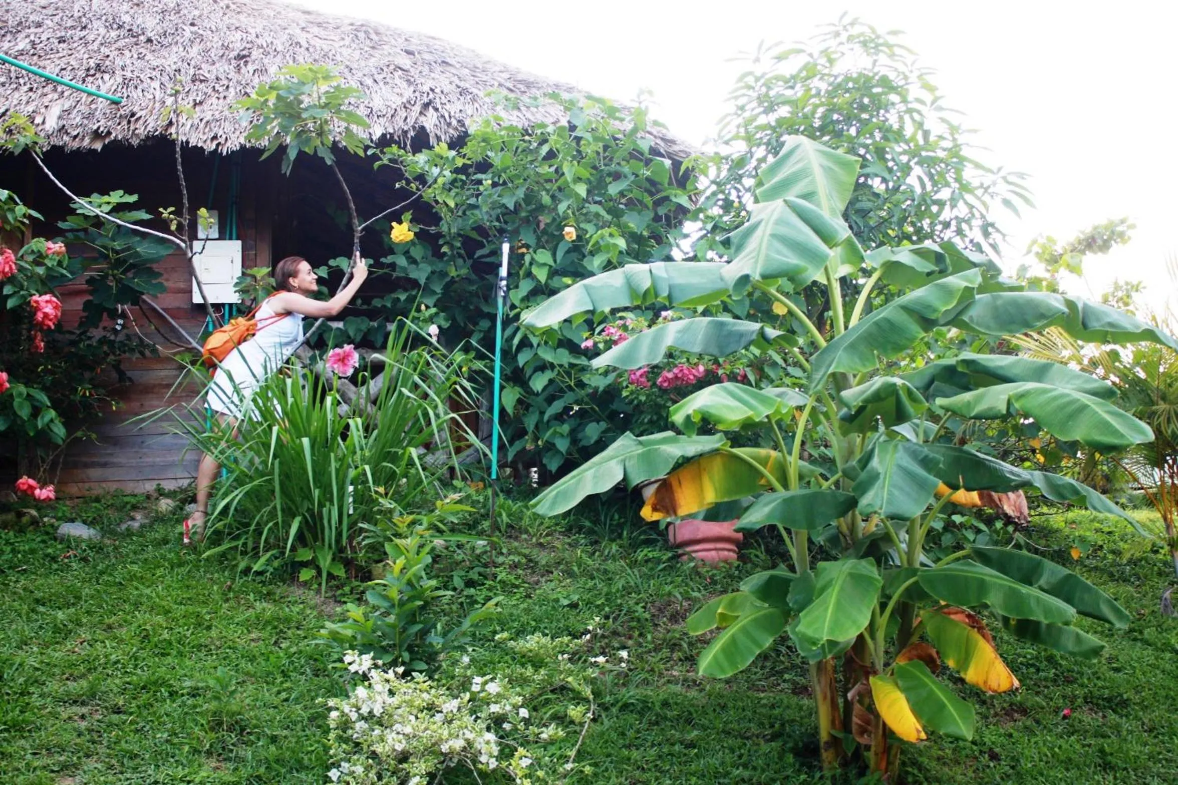 Cabañas Ecoturisticas Y Club Gaira Tayrona