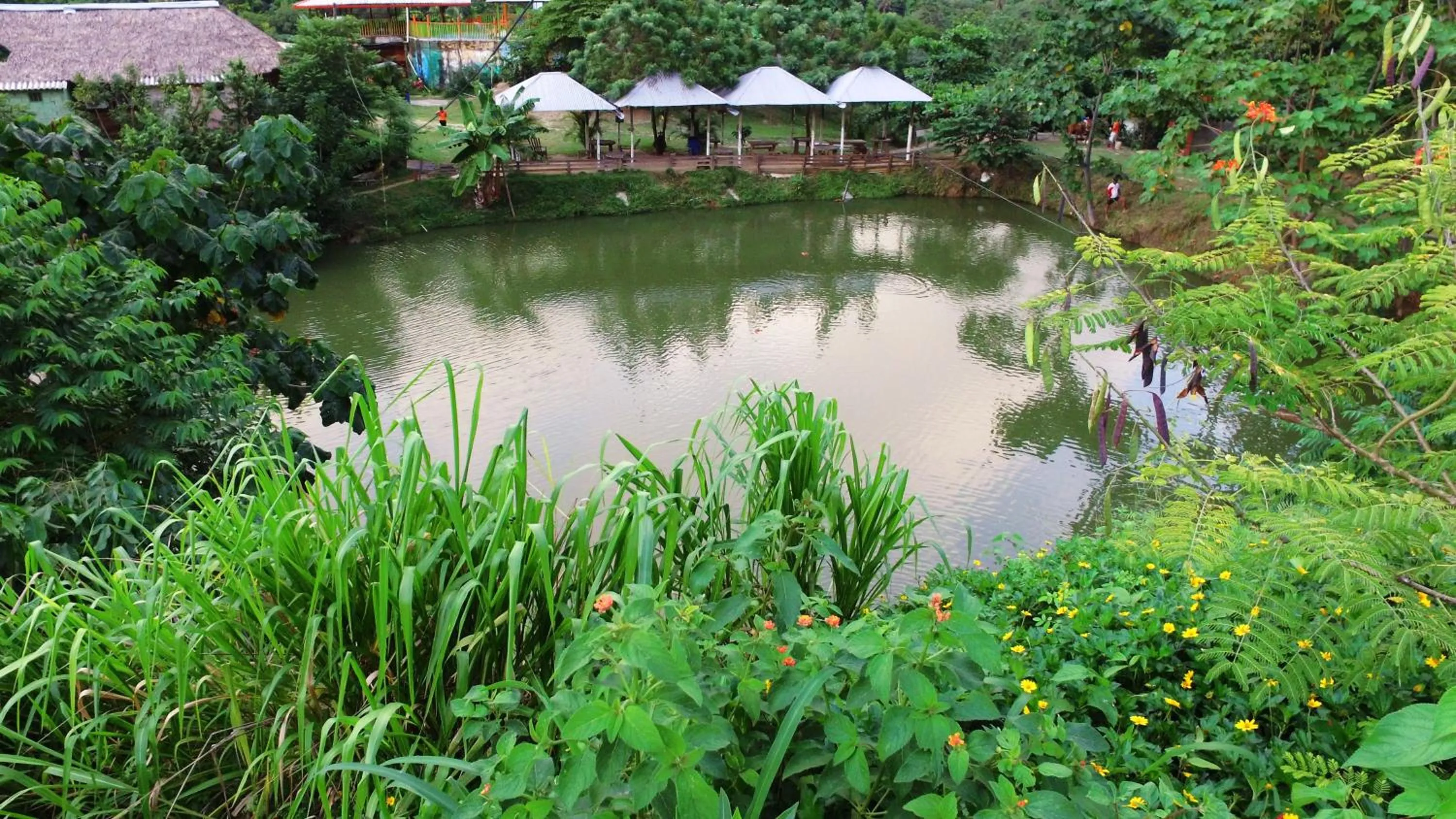 Cabañas Ecoturisticas Y Club Gaira Tayrona