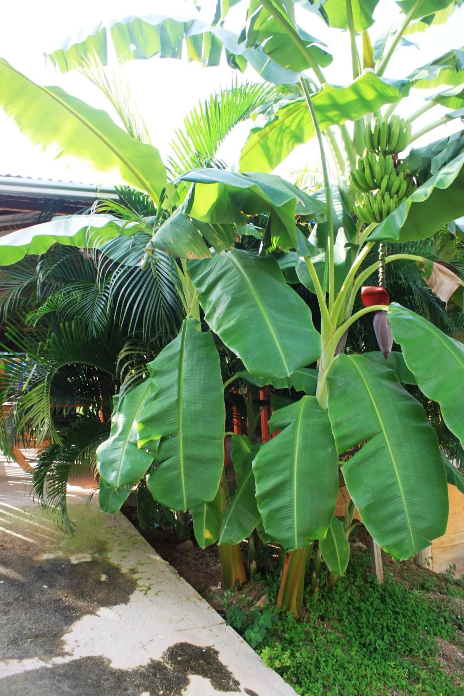 Cabañas Ecoturisticas Y Club Gaira Tayrona