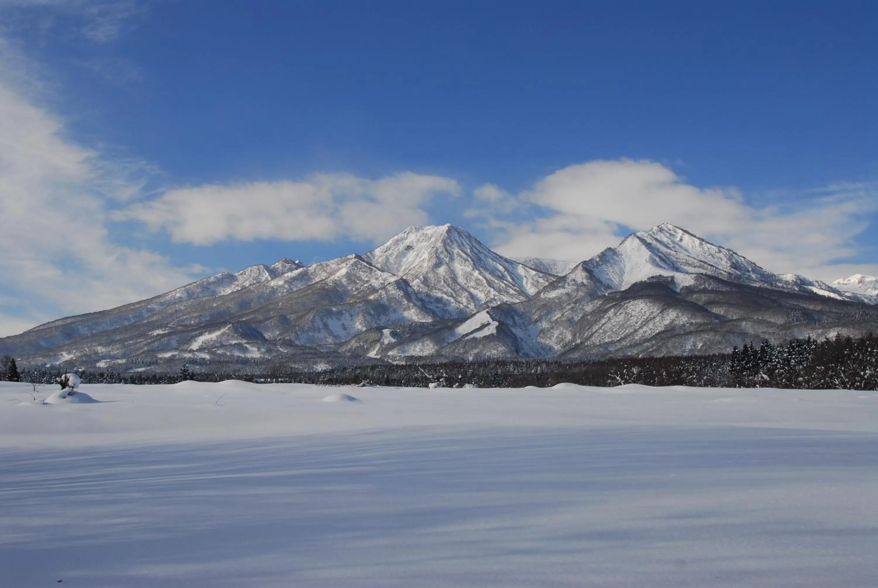 Winter in Pension Moomin Papa