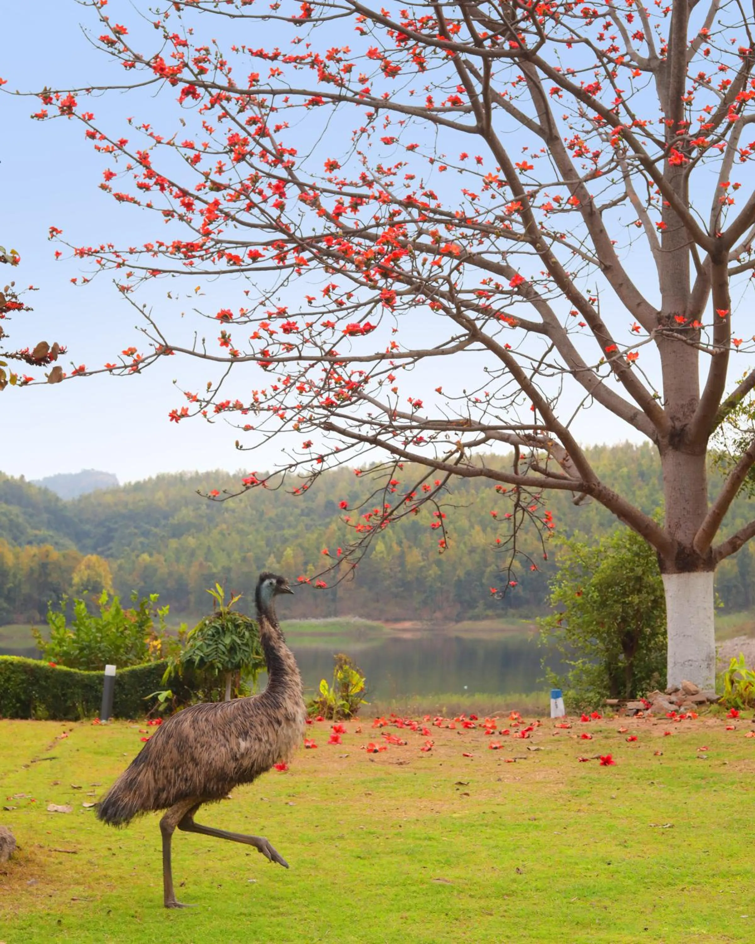 View (from property/room) in Eco Adventure Resorts Khhairabera