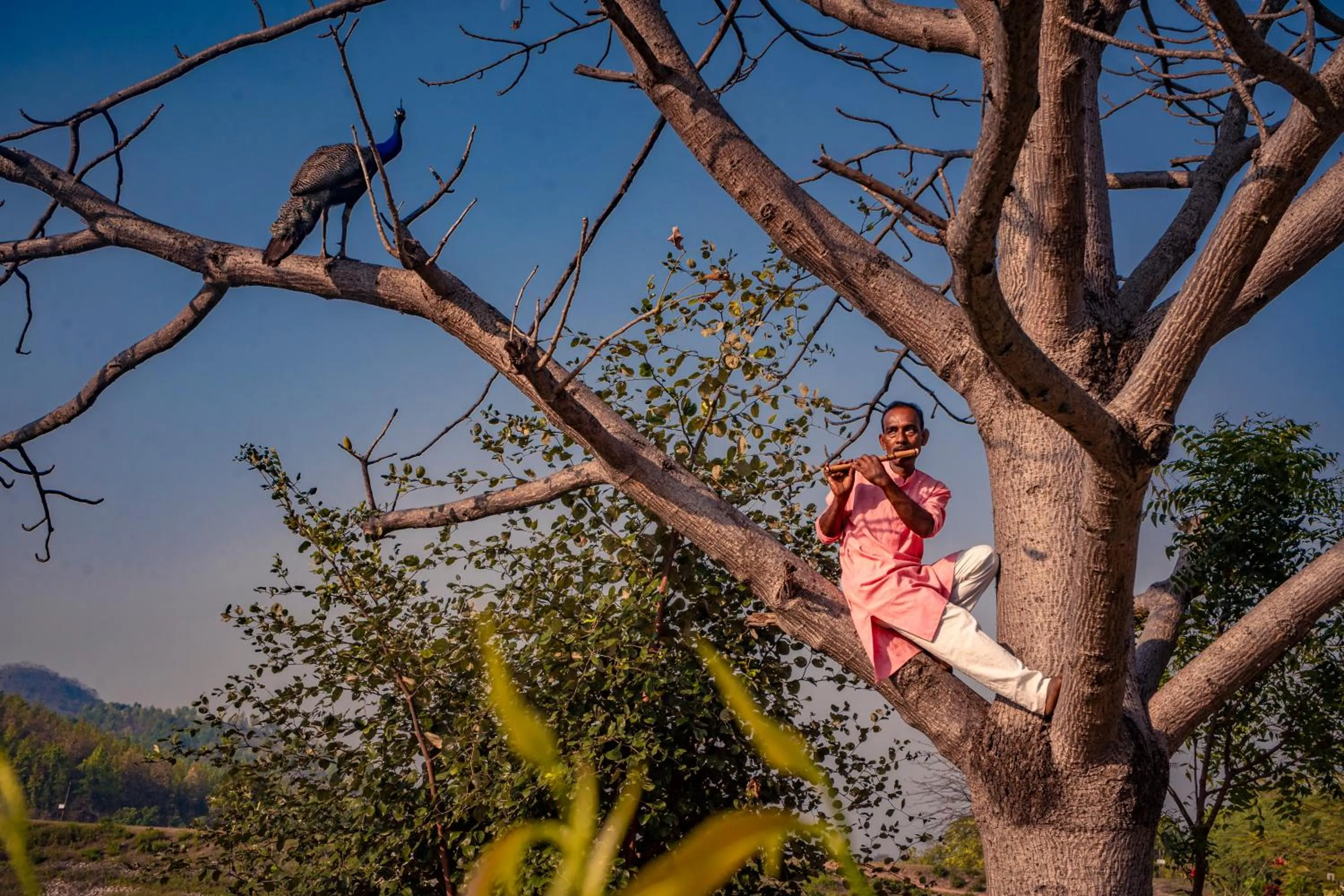 Natural landscape in Eco Adventure Resorts Khhairabera