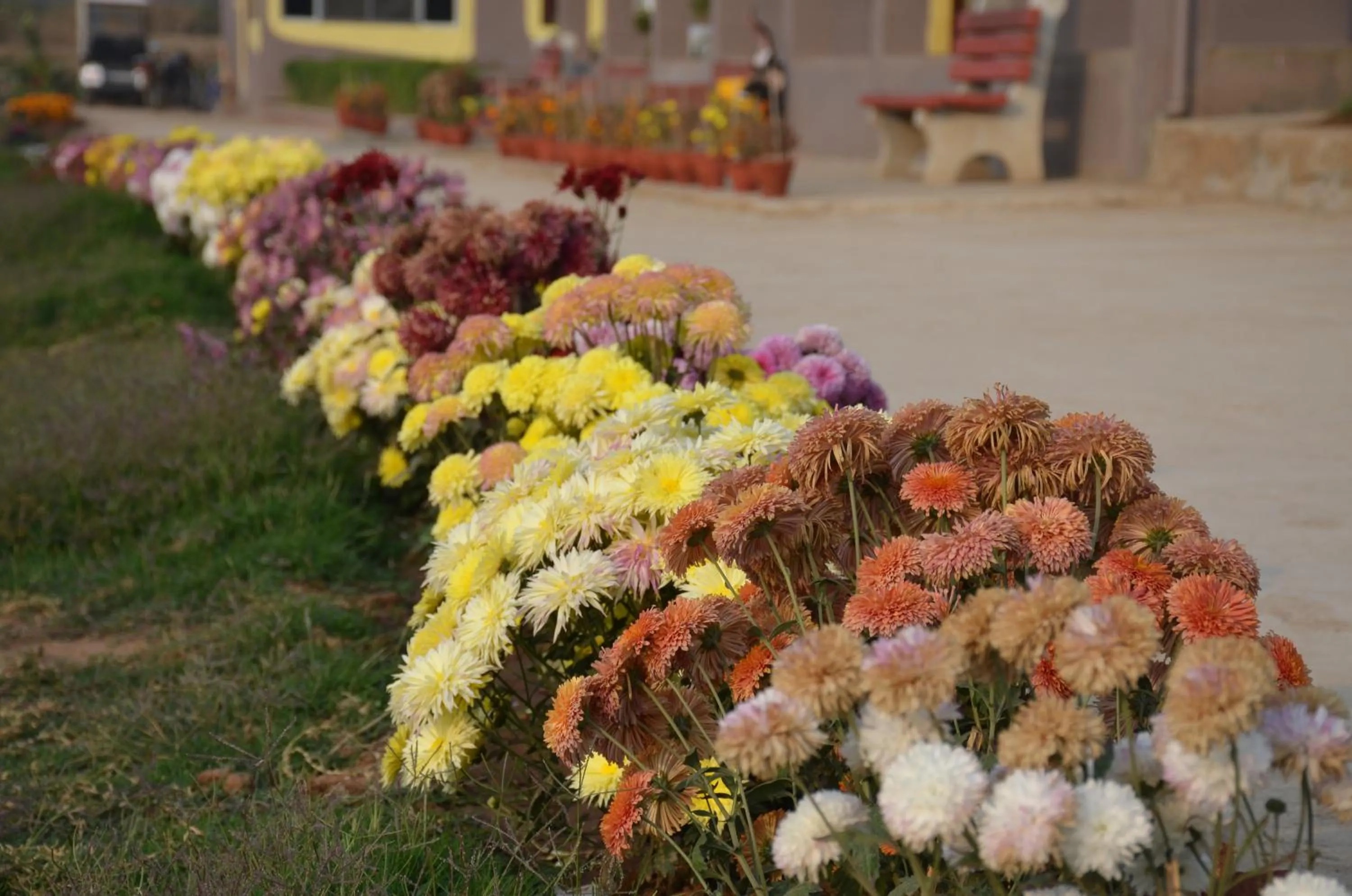 Property building in Eco Adventure Resorts Khhairabera