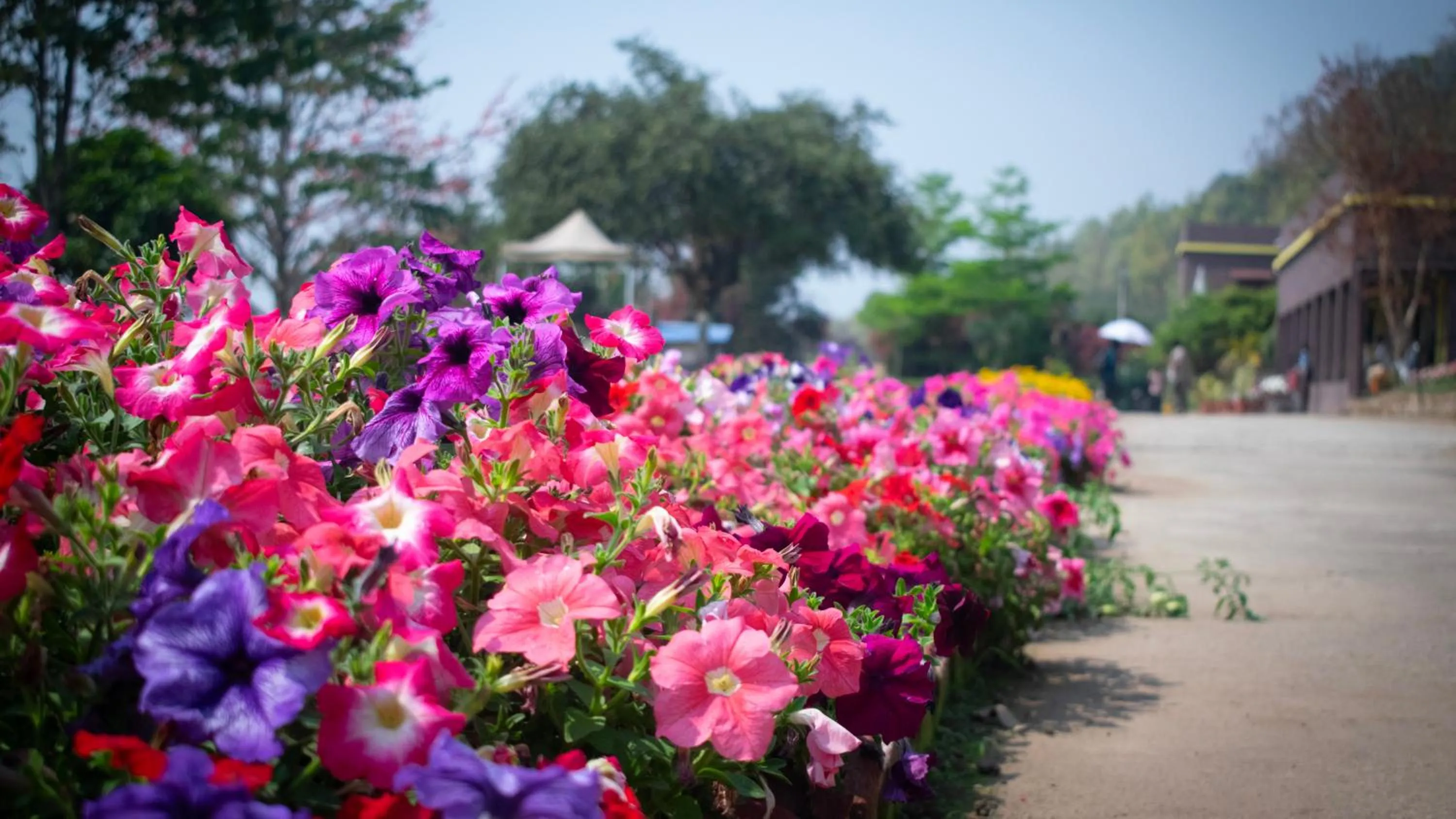 Patio in Eco Adventure Resorts Khhairabera