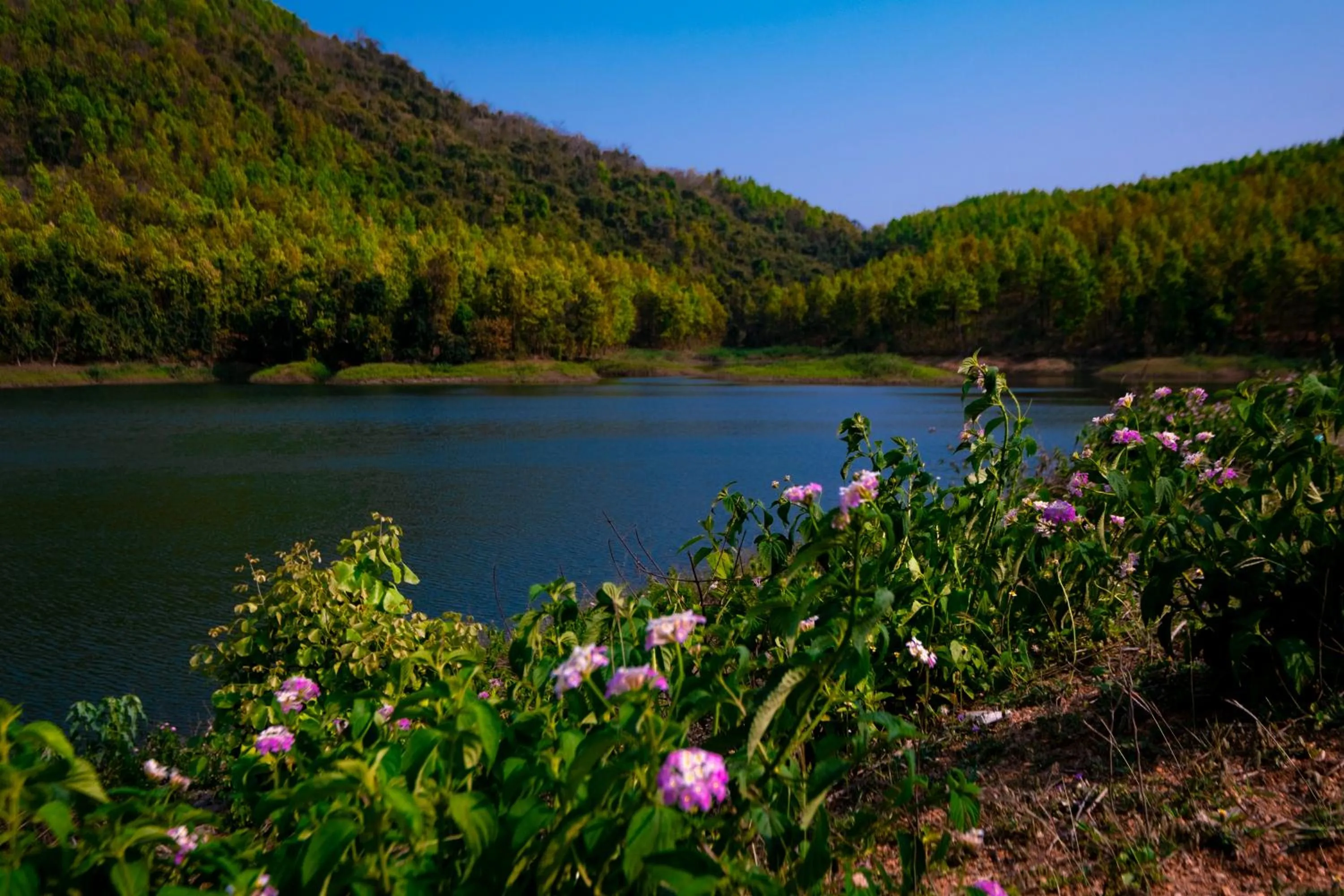 Mountain view in Eco Adventure Resorts Khhairabera