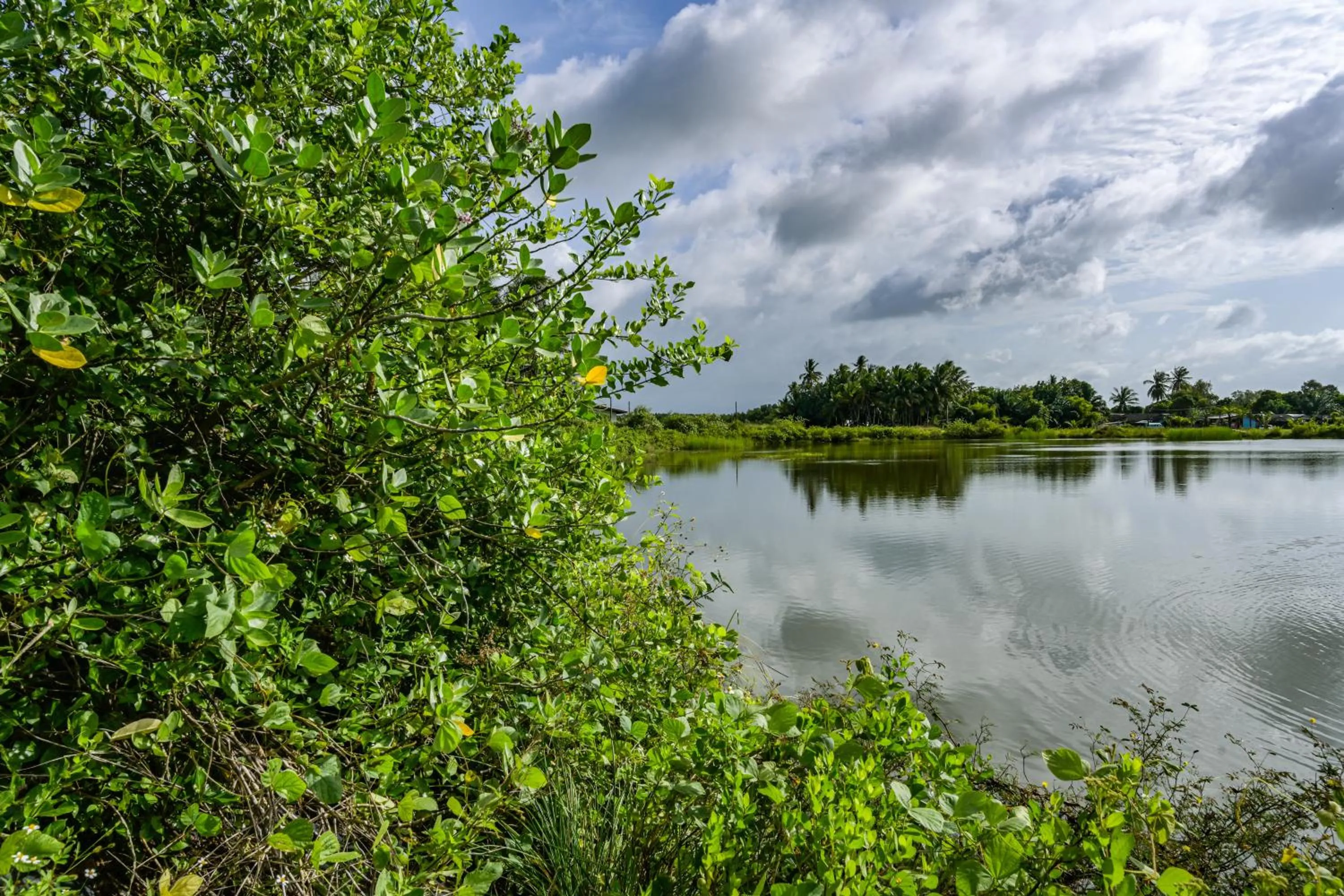 Natural landscape in Chill Out Village