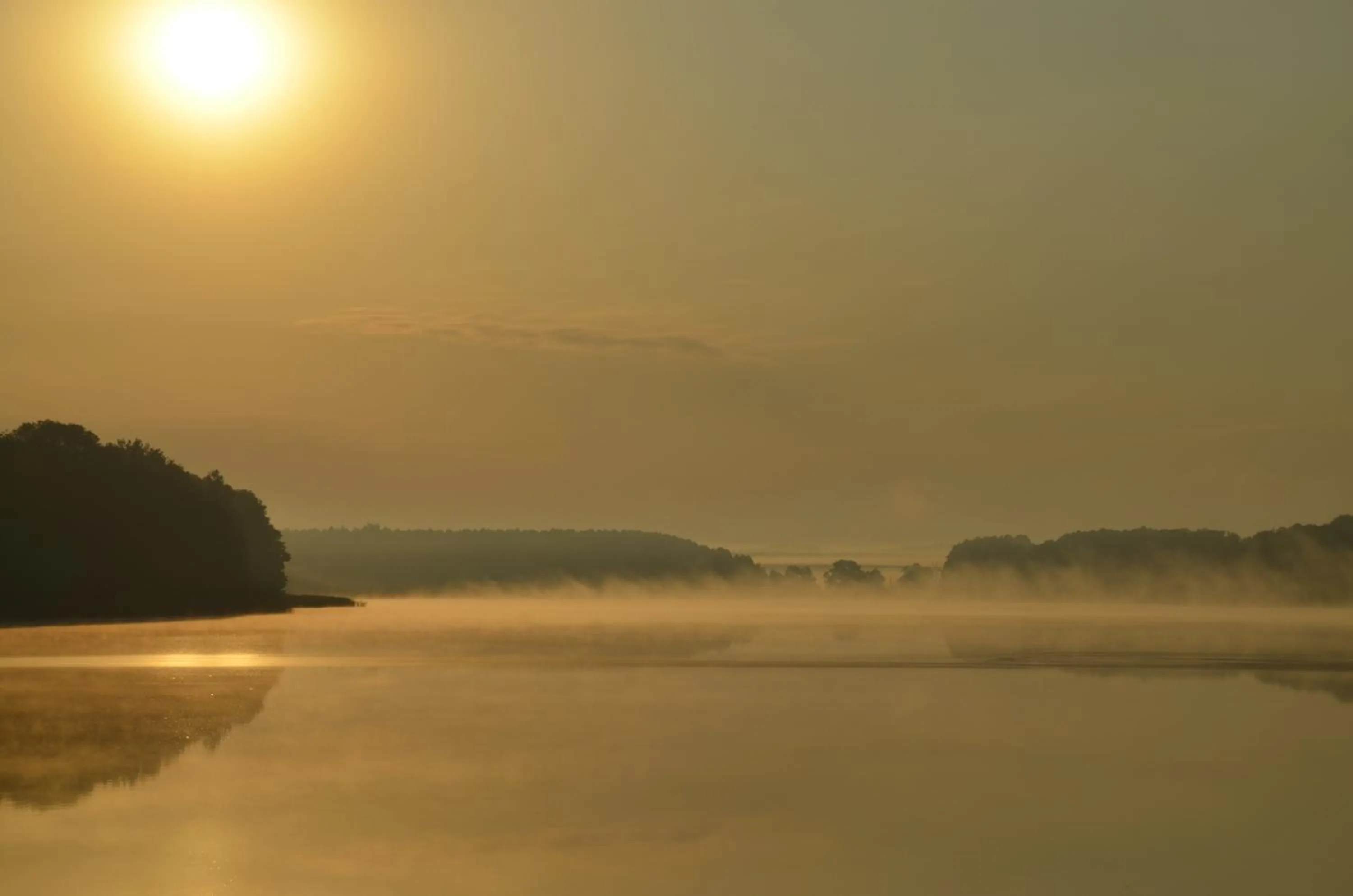 Natural landscape in Eurocamp Spreewaldtor
