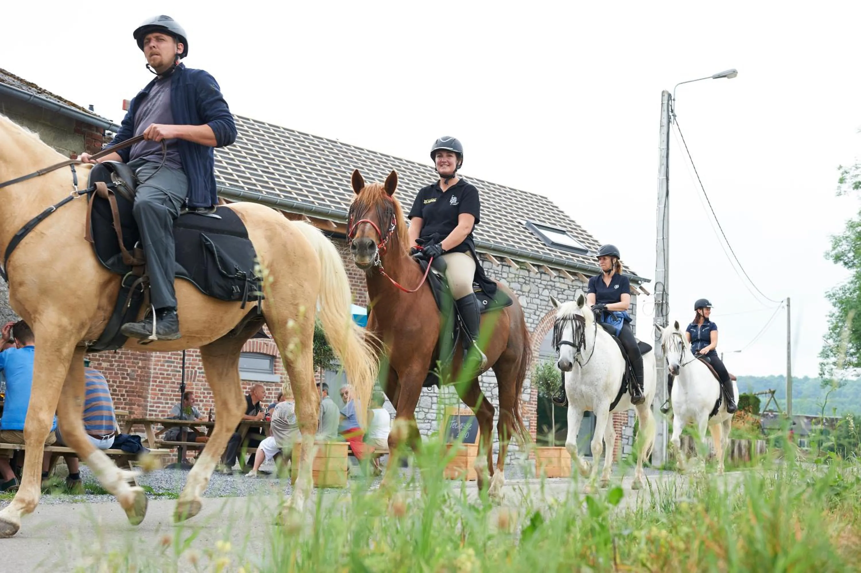 Horse-riding in B&B Barvaux, Durbuy