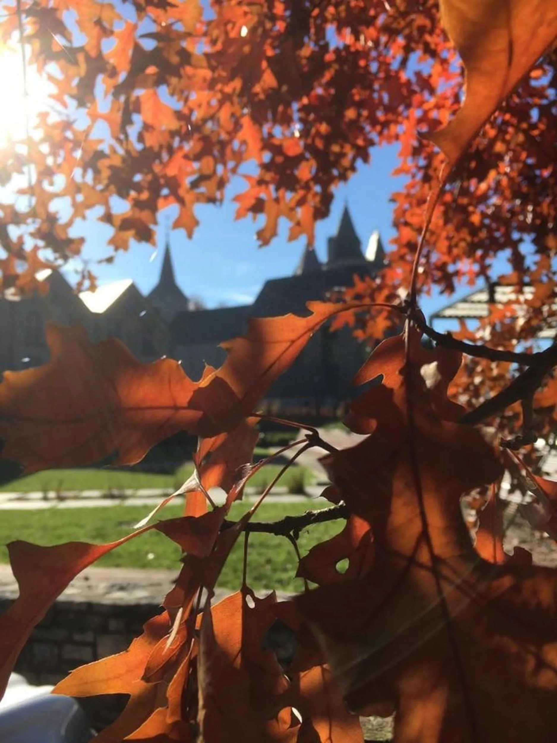 Area and facilities in B&B Barvaux, Durbuy