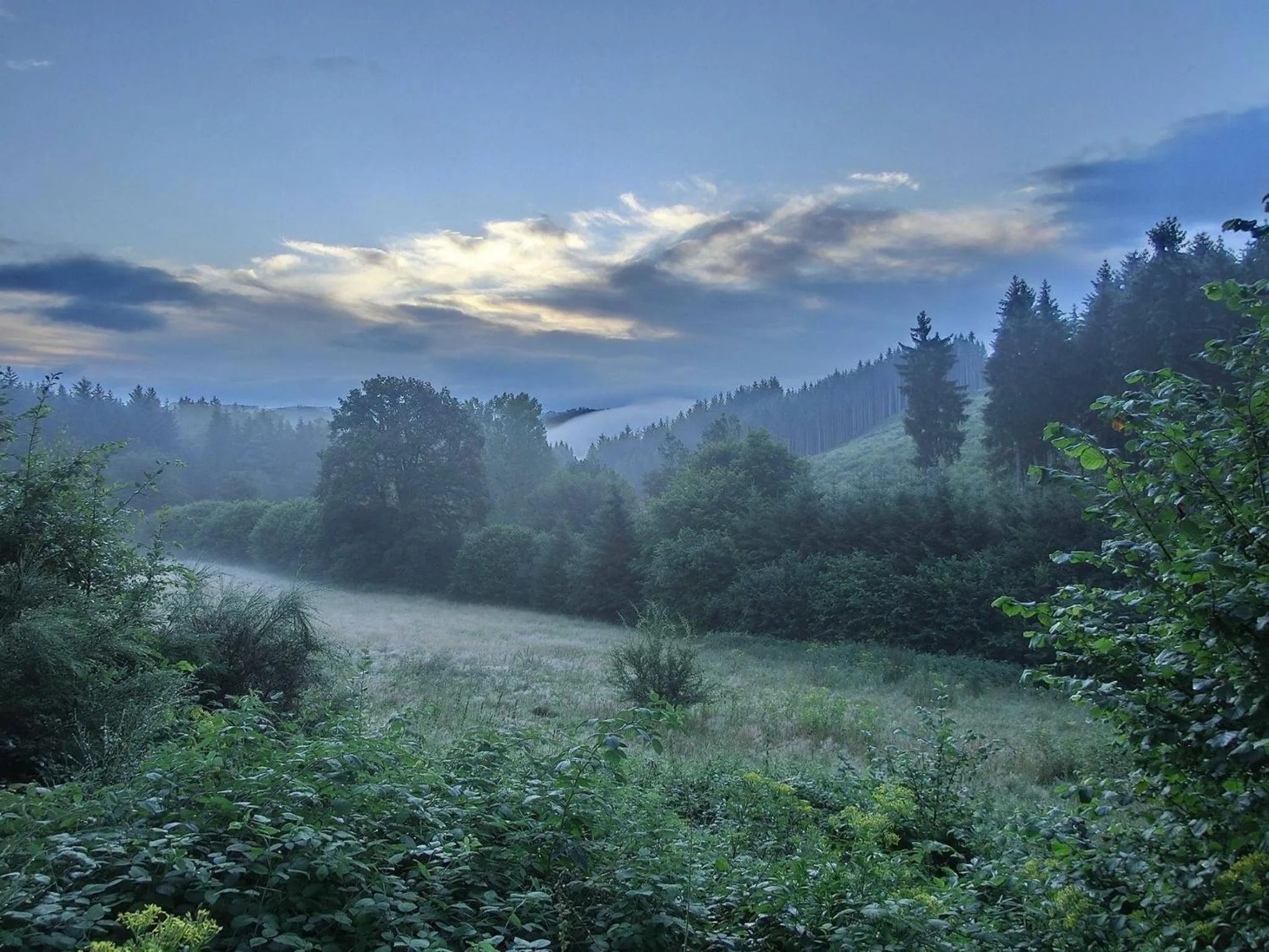Natural landscape in B&B Barvaux, Durbuy