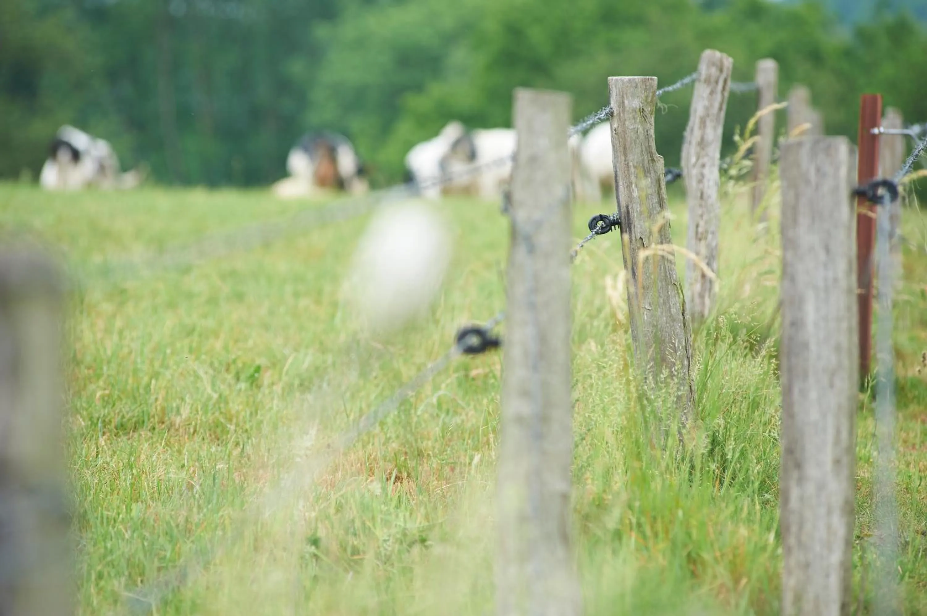 Other in B&B Barvaux, Durbuy