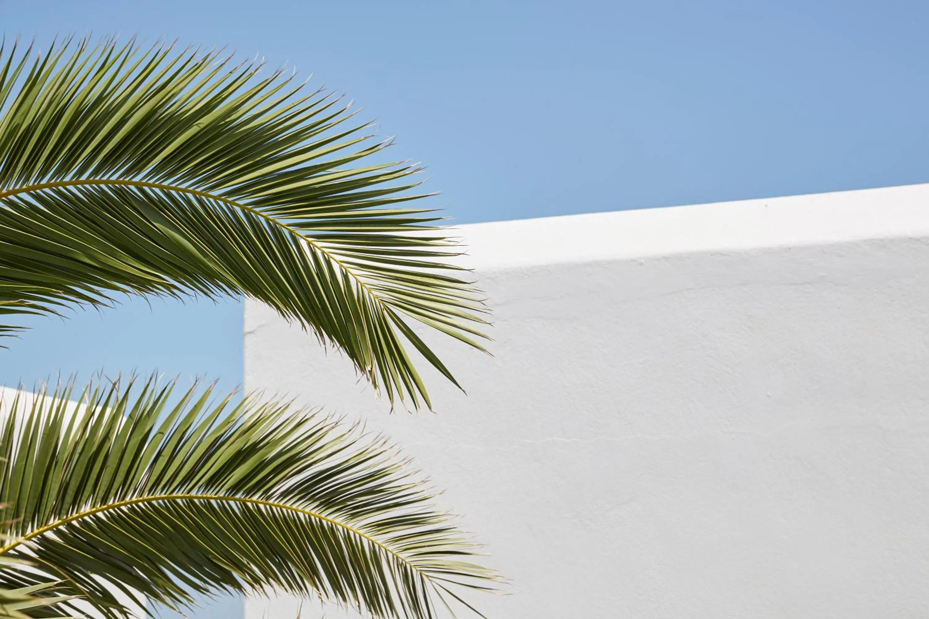 Bird's eye view in Mrs. Armelina by Mr&Mrs White Hotels