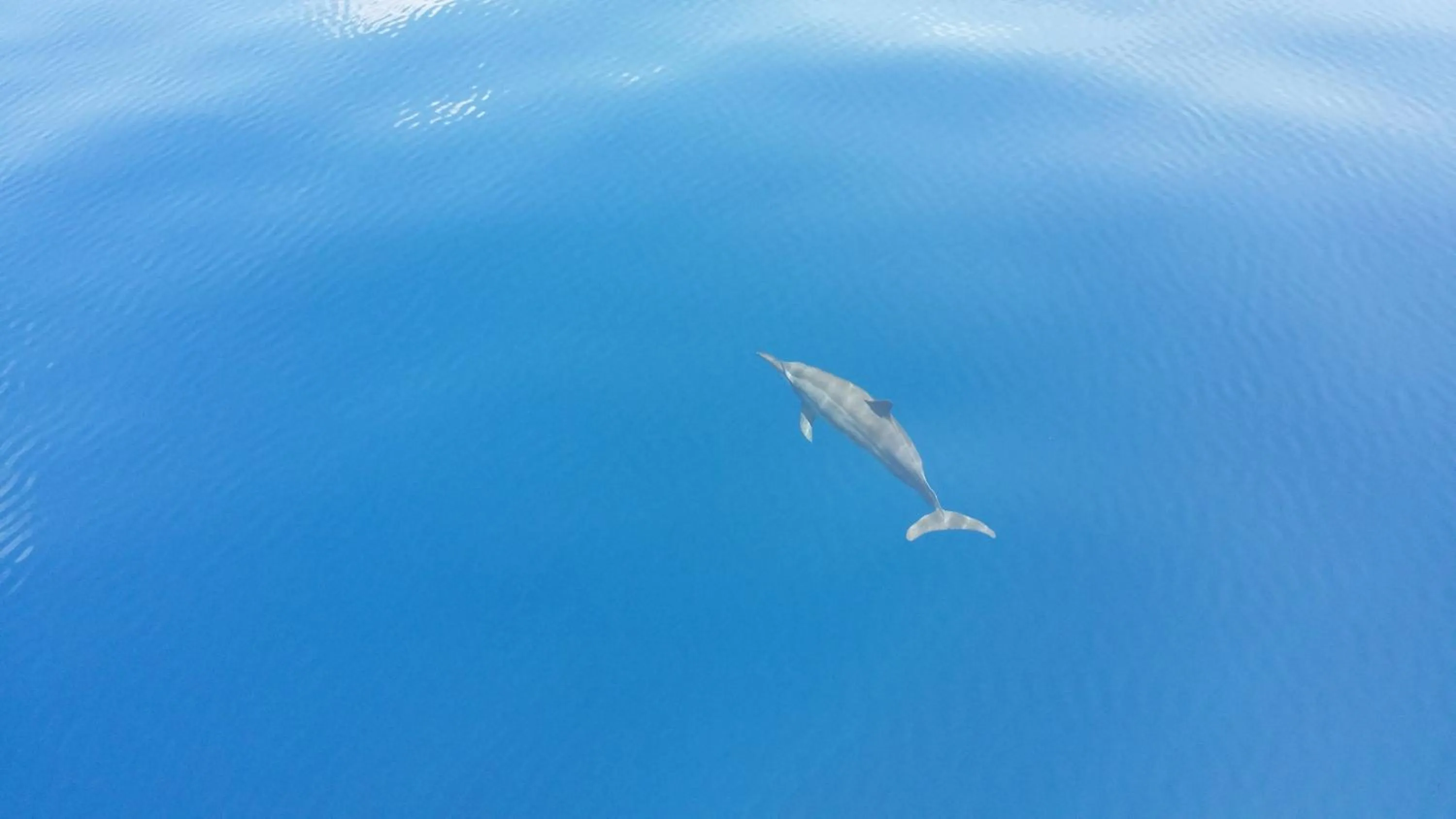 Off site in West Sands