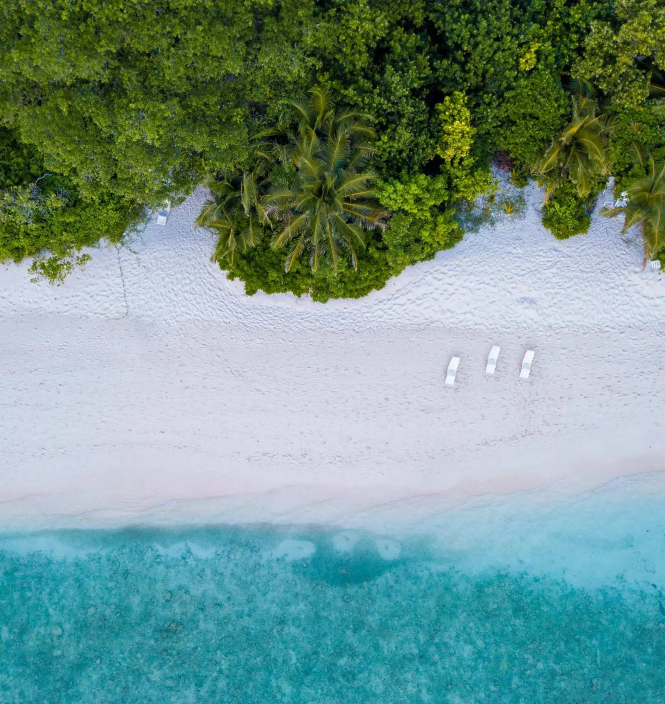 Bird's eye view in West Sands Bird's eye view in West Sands