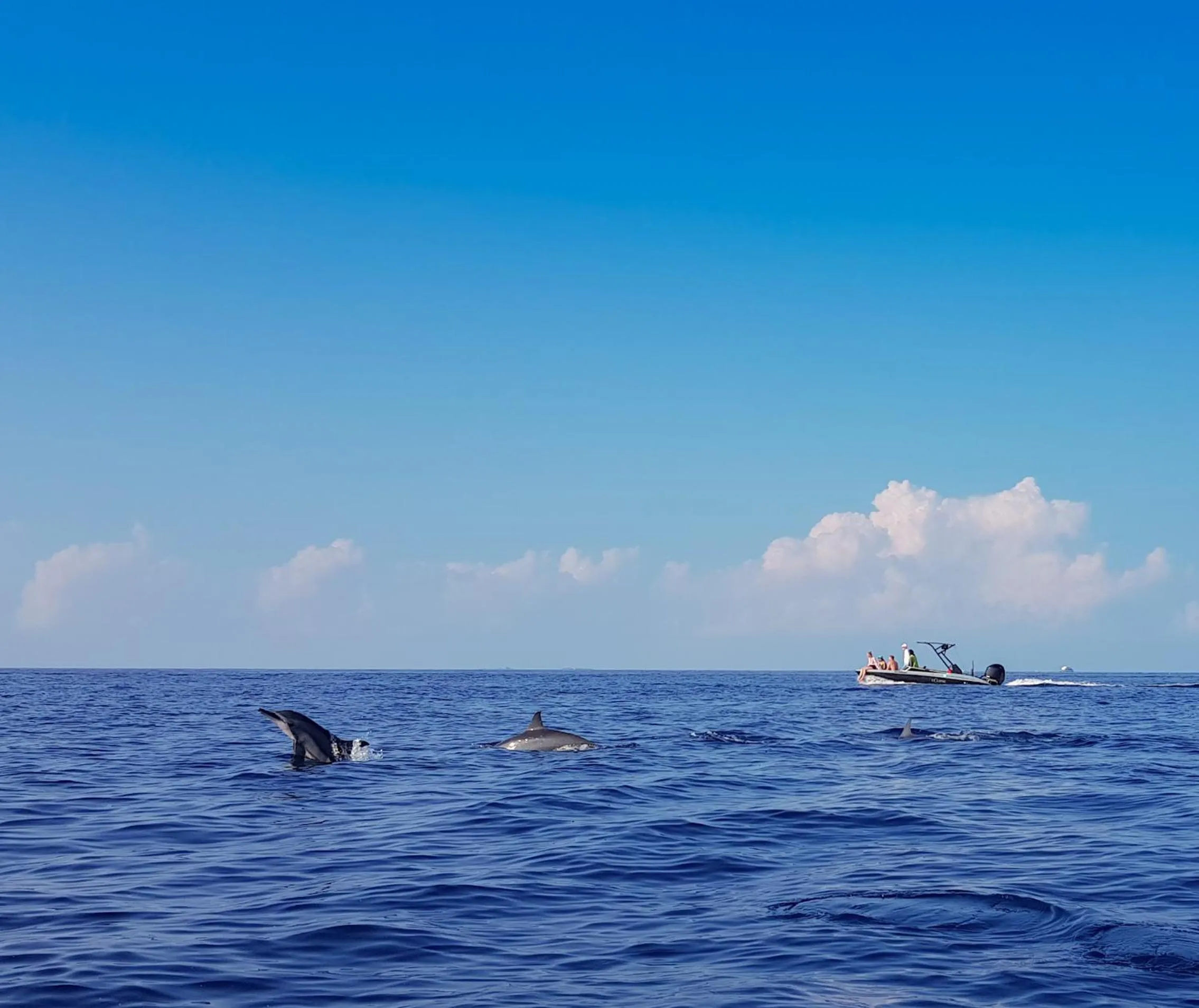 Natural landscape in West Sands