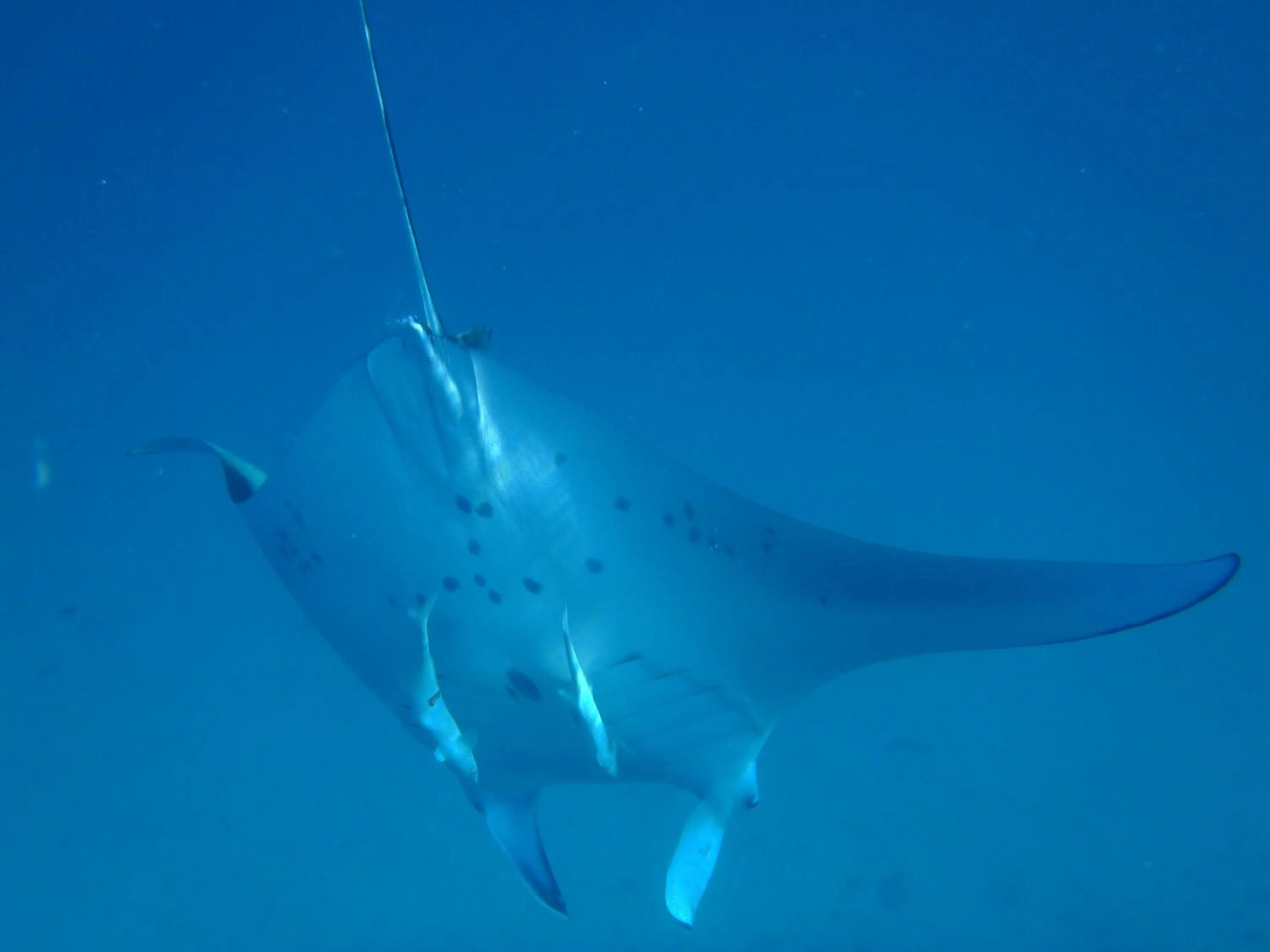 Fishing in West Sands