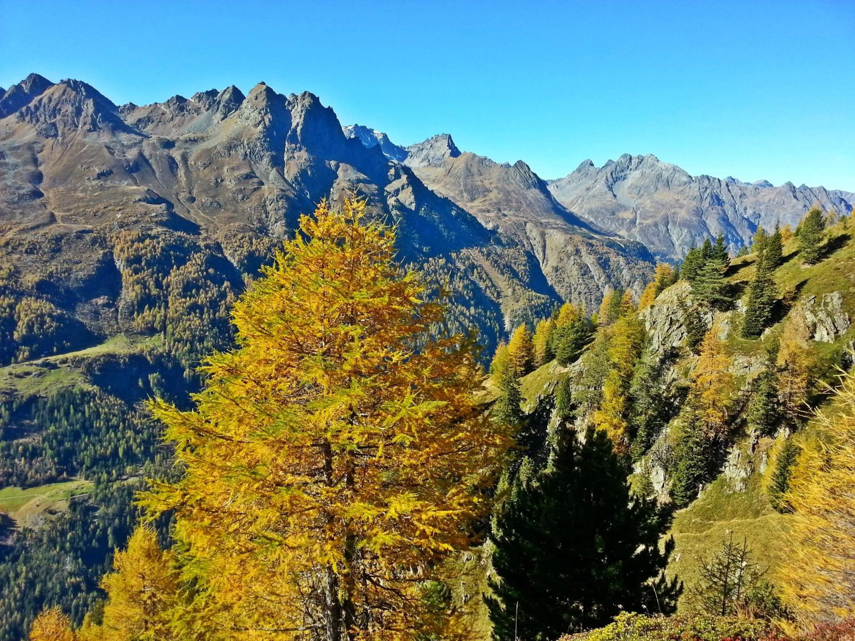 Natural landscape in Landhaus Hubert Fiegl