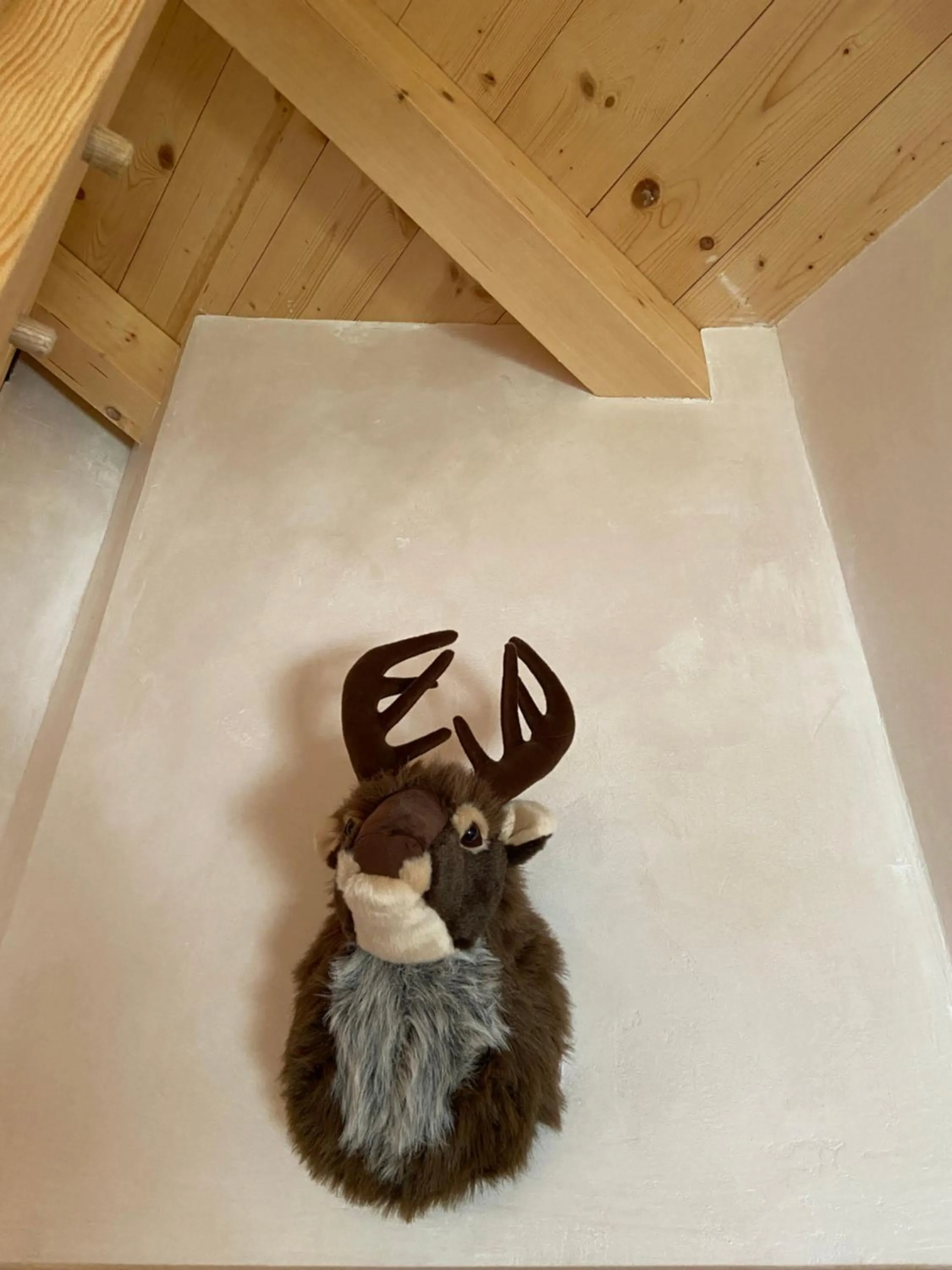 Decorative detail in Chalet Soleya