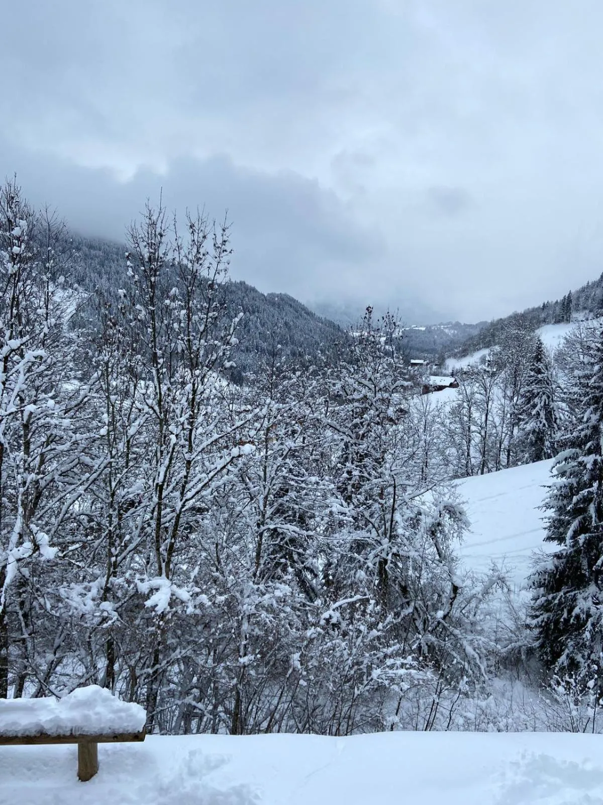 Property building in Chalet Soleya