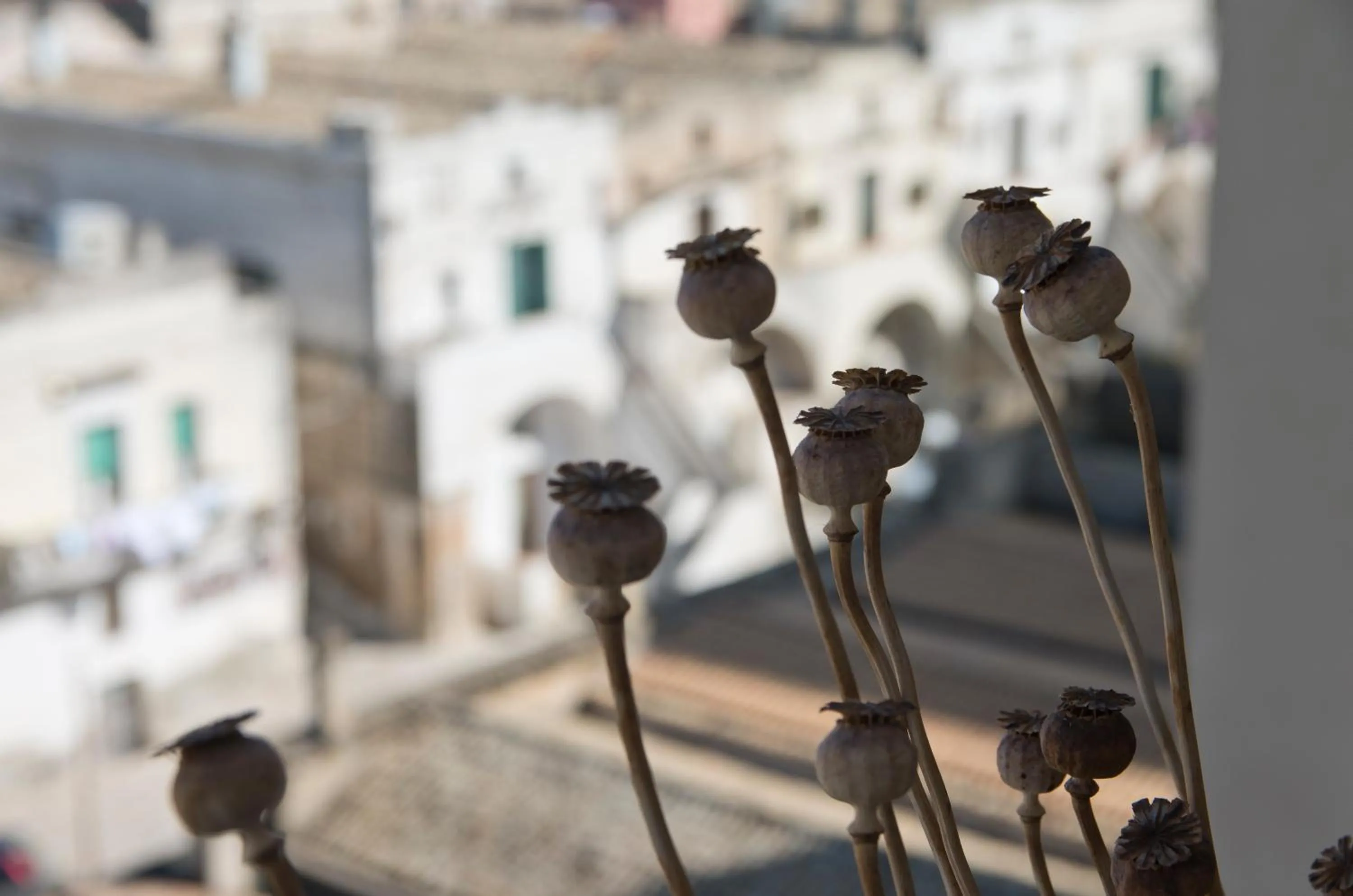 Decorative detail in Limen Matera Guesthouse