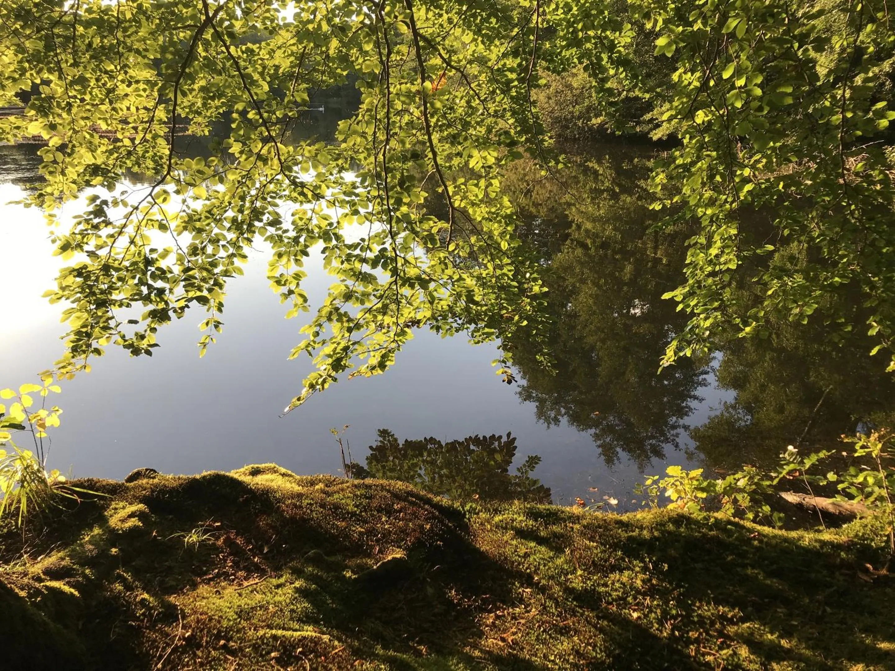 Natural landscape in Klosterhotel Walkenried