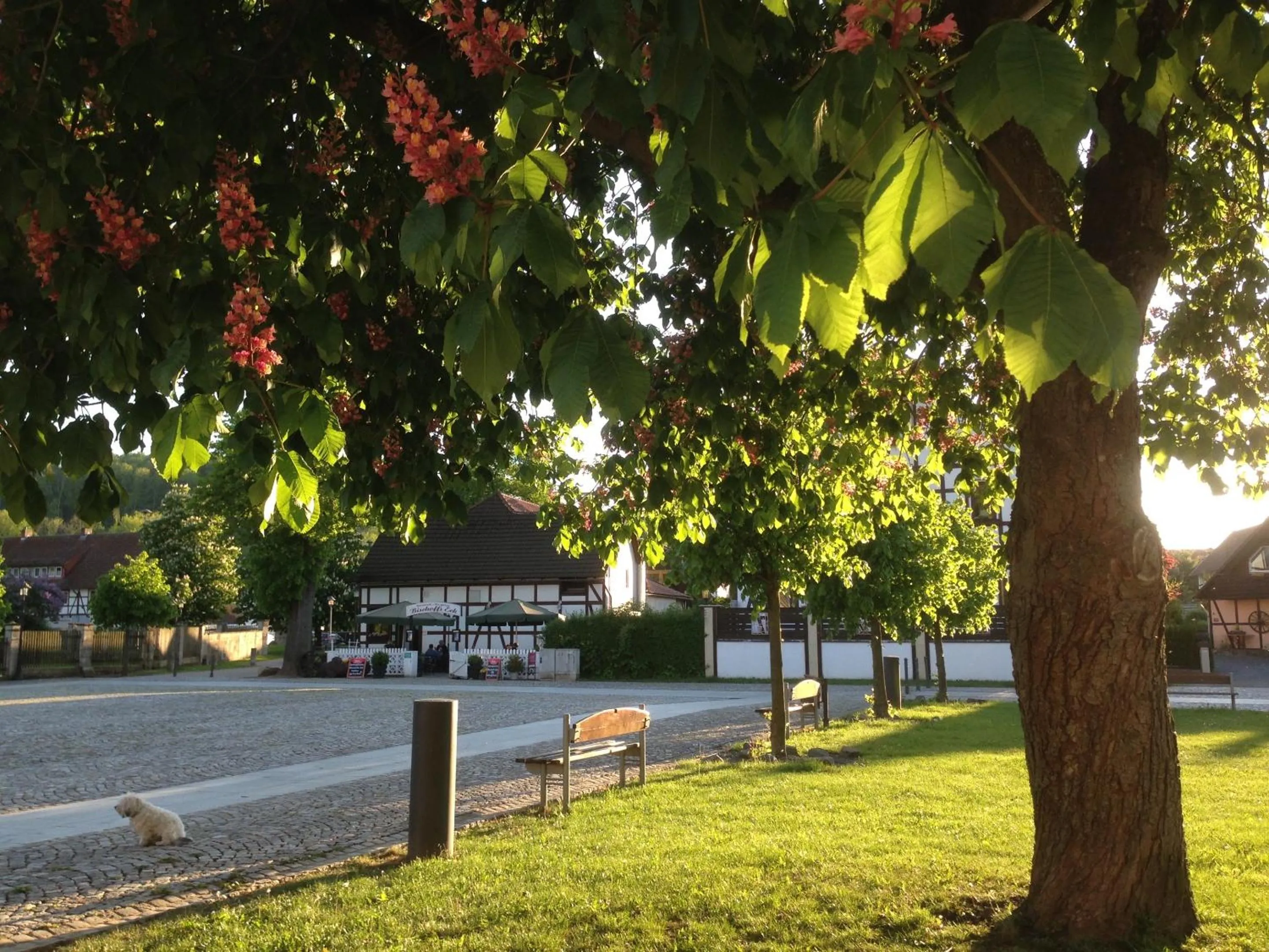 Natural landscape in Klosterhotel Walkenried