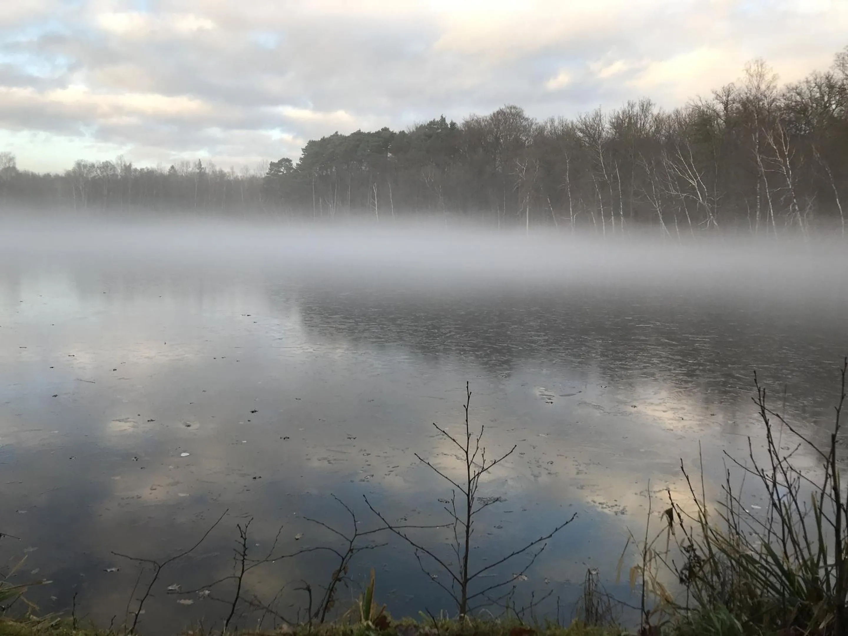 Natural landscape in Klosterhotel Walkenried