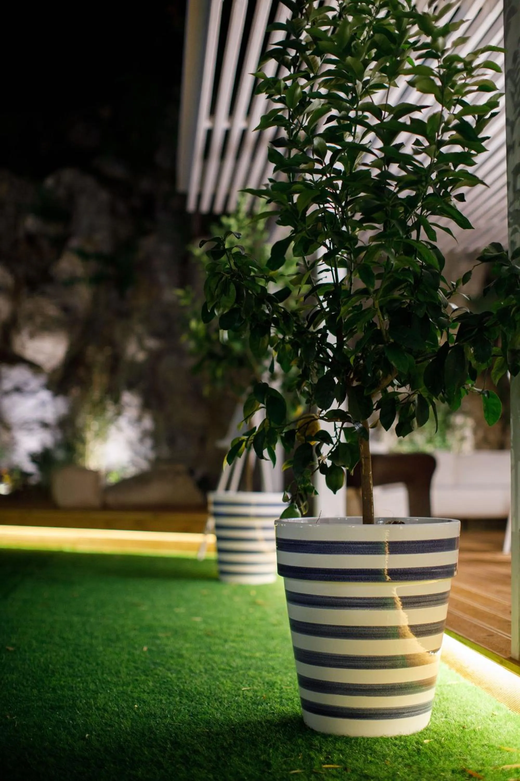 Restaurant/places to eat in MelRose Relais