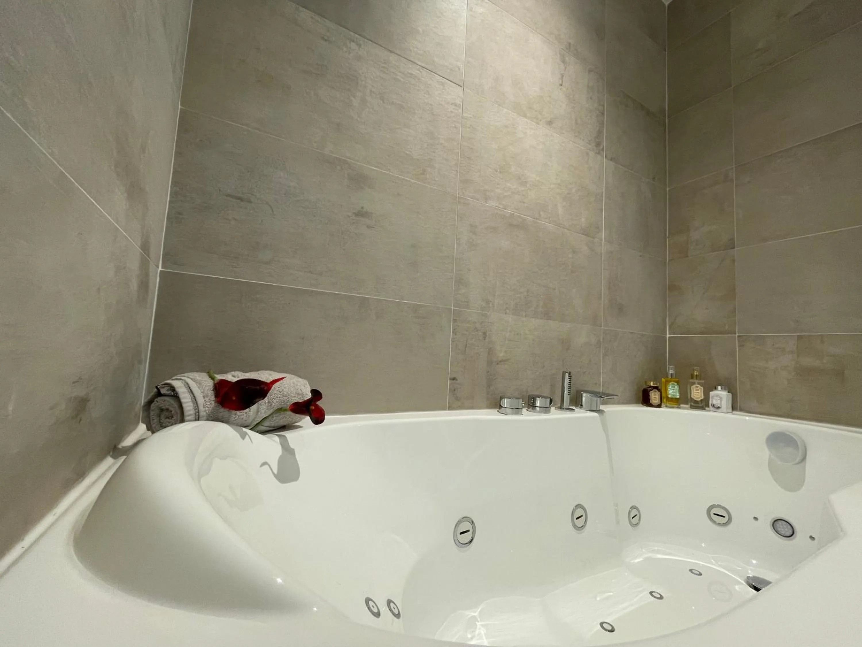 Hot Tub in Brit Hotel de Grignan Vichy