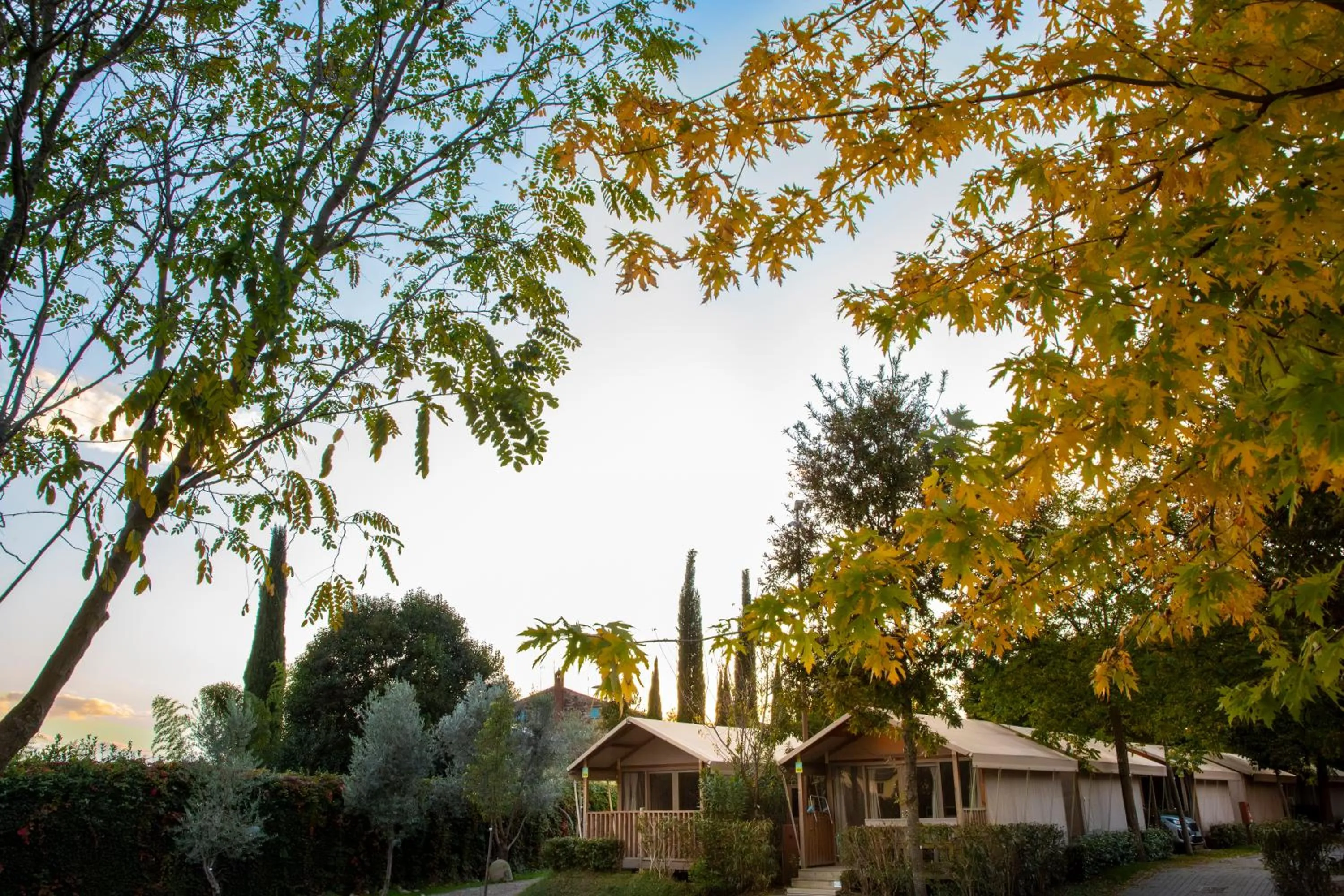 Autumn in hu Firenze Camping in Town